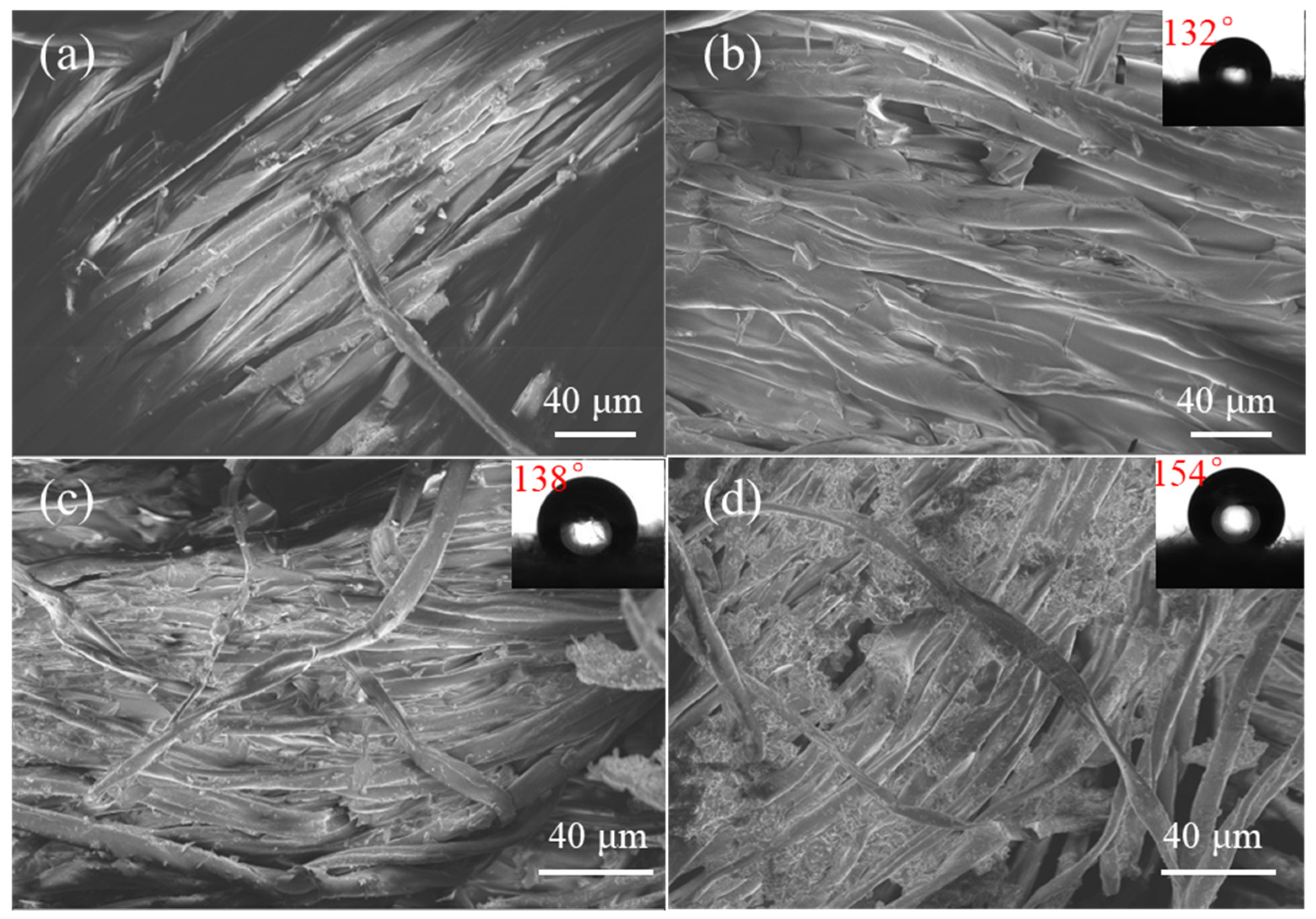 Coatings 13 00954 g006 Coatings 13 00954 g006