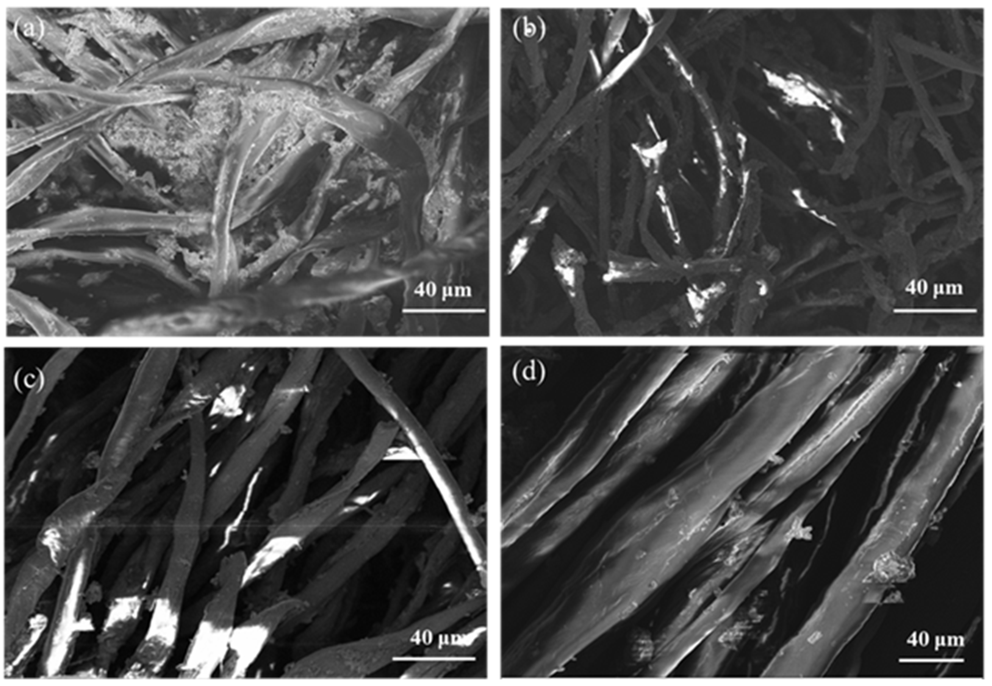 Coatings 13 00954 g011 Coatings 13 00954 g011