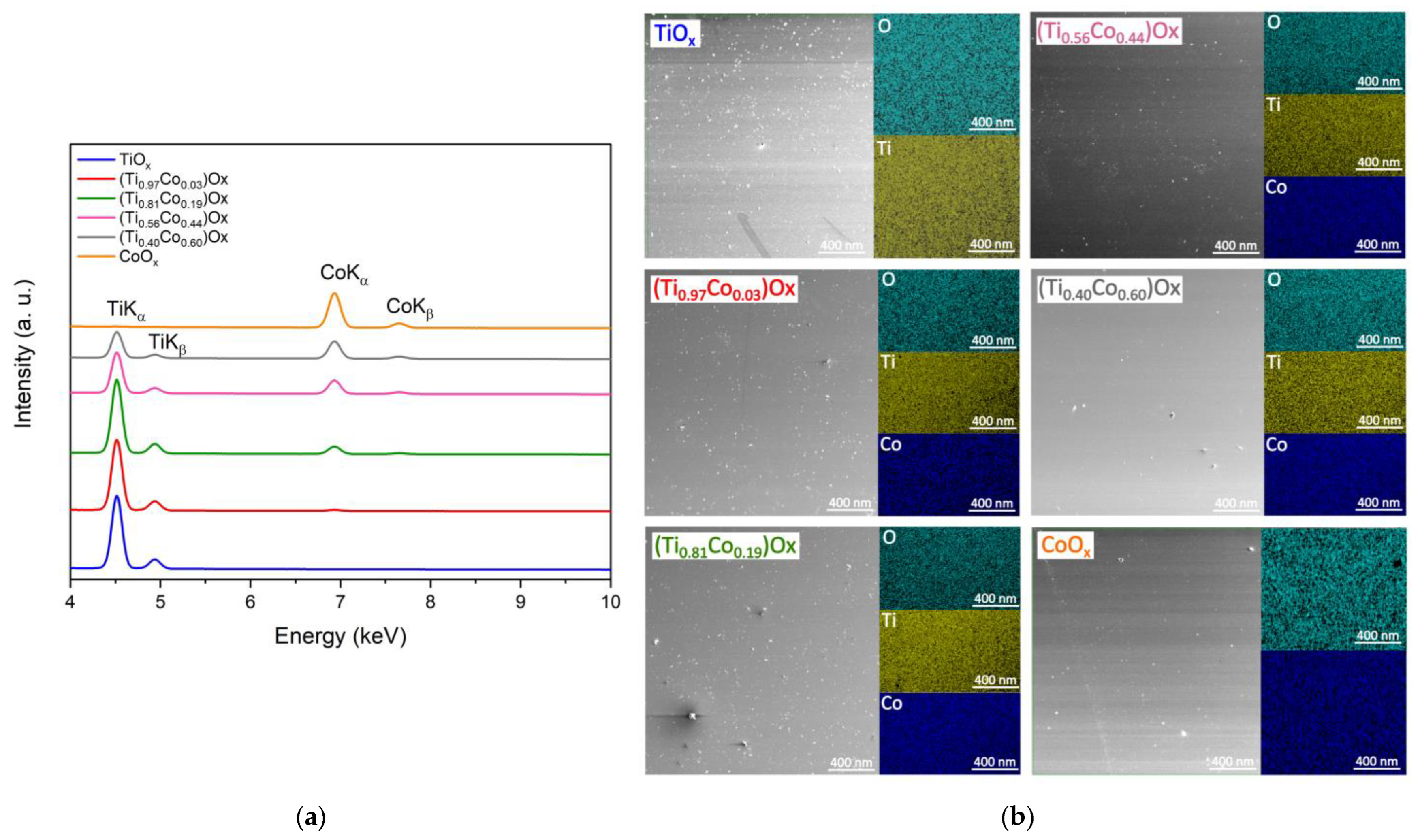 Coatings 13 00955 g006