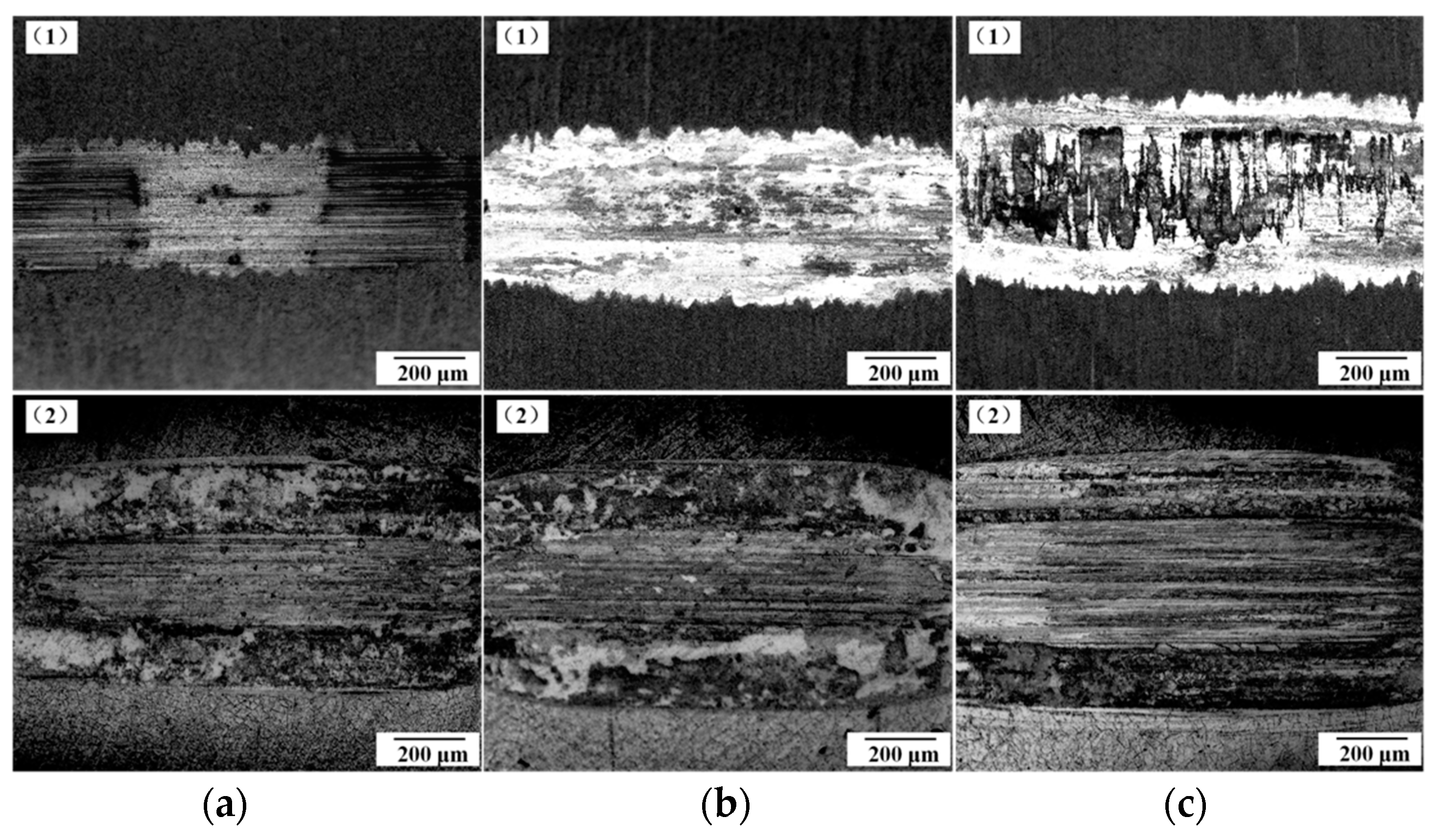 Coatings 13 00959 g013