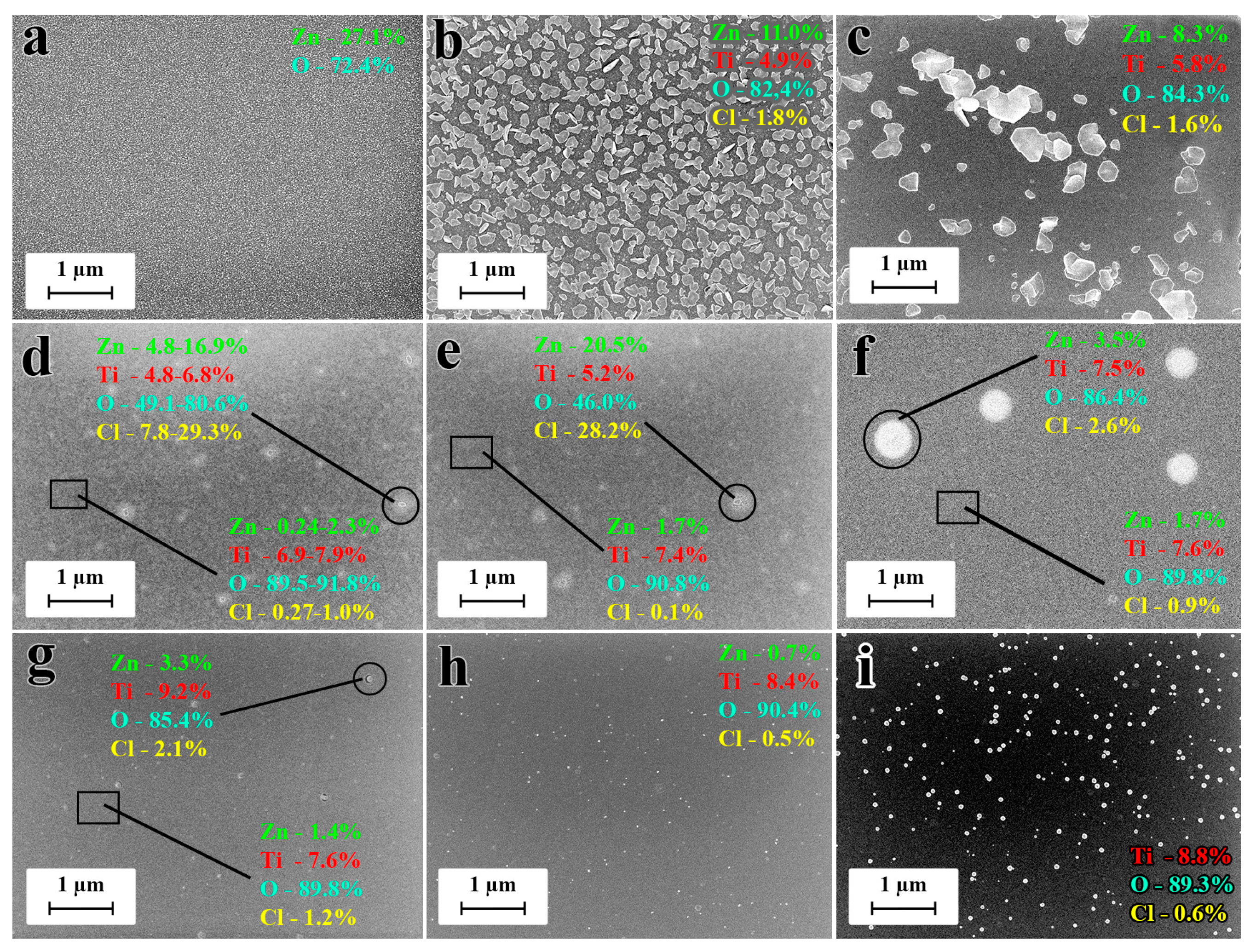 Coatings 13 00960 g004