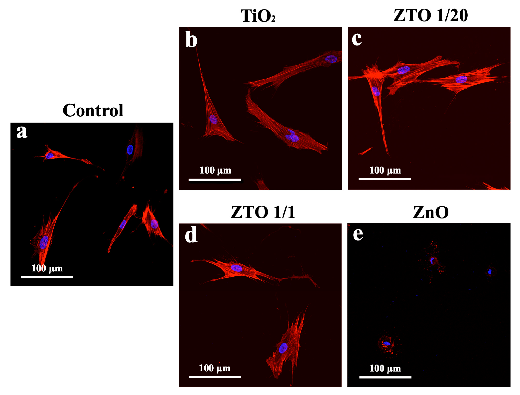 Coatings 13 00960 g008