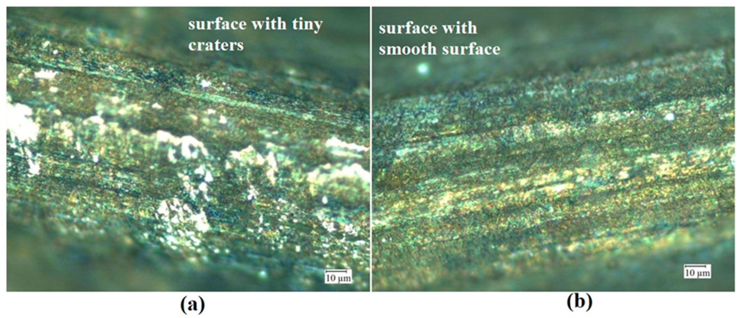 Coatings 13 00963 g002