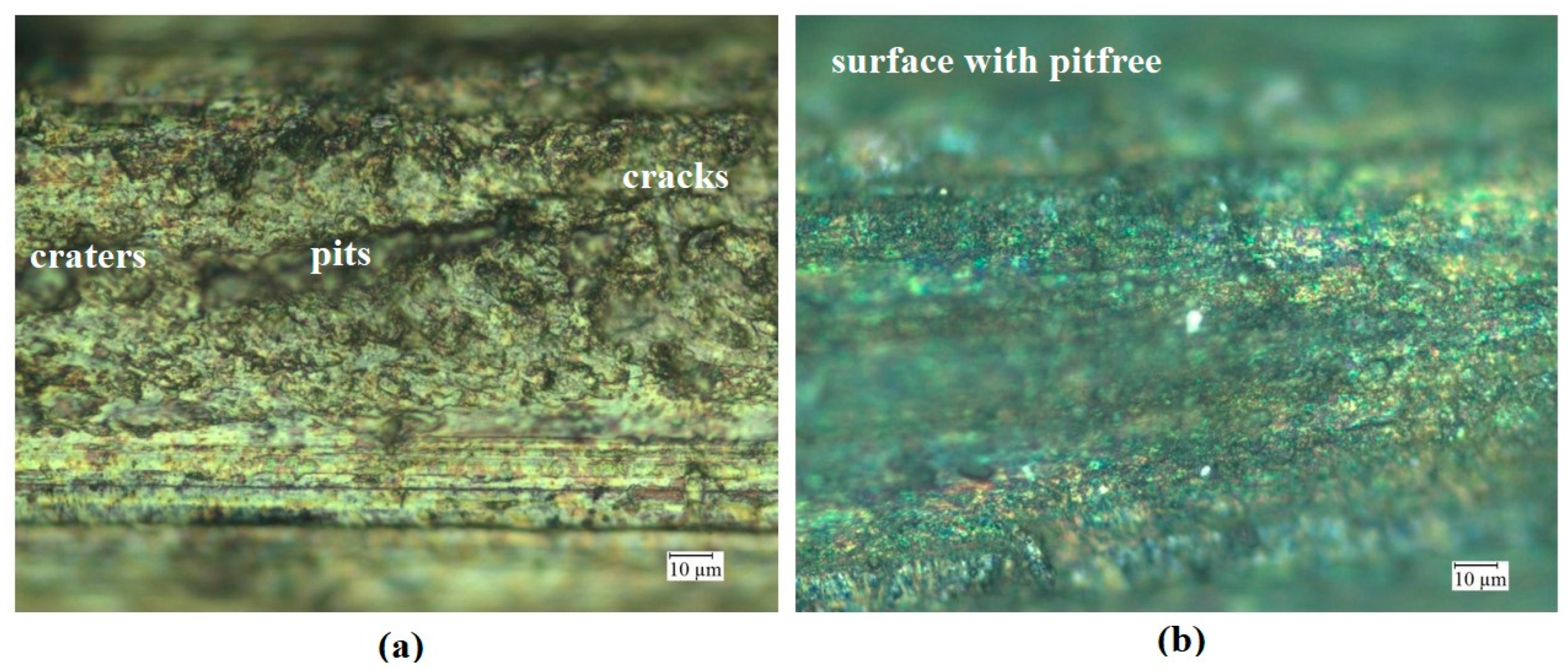 Coatings 13 00963 g003