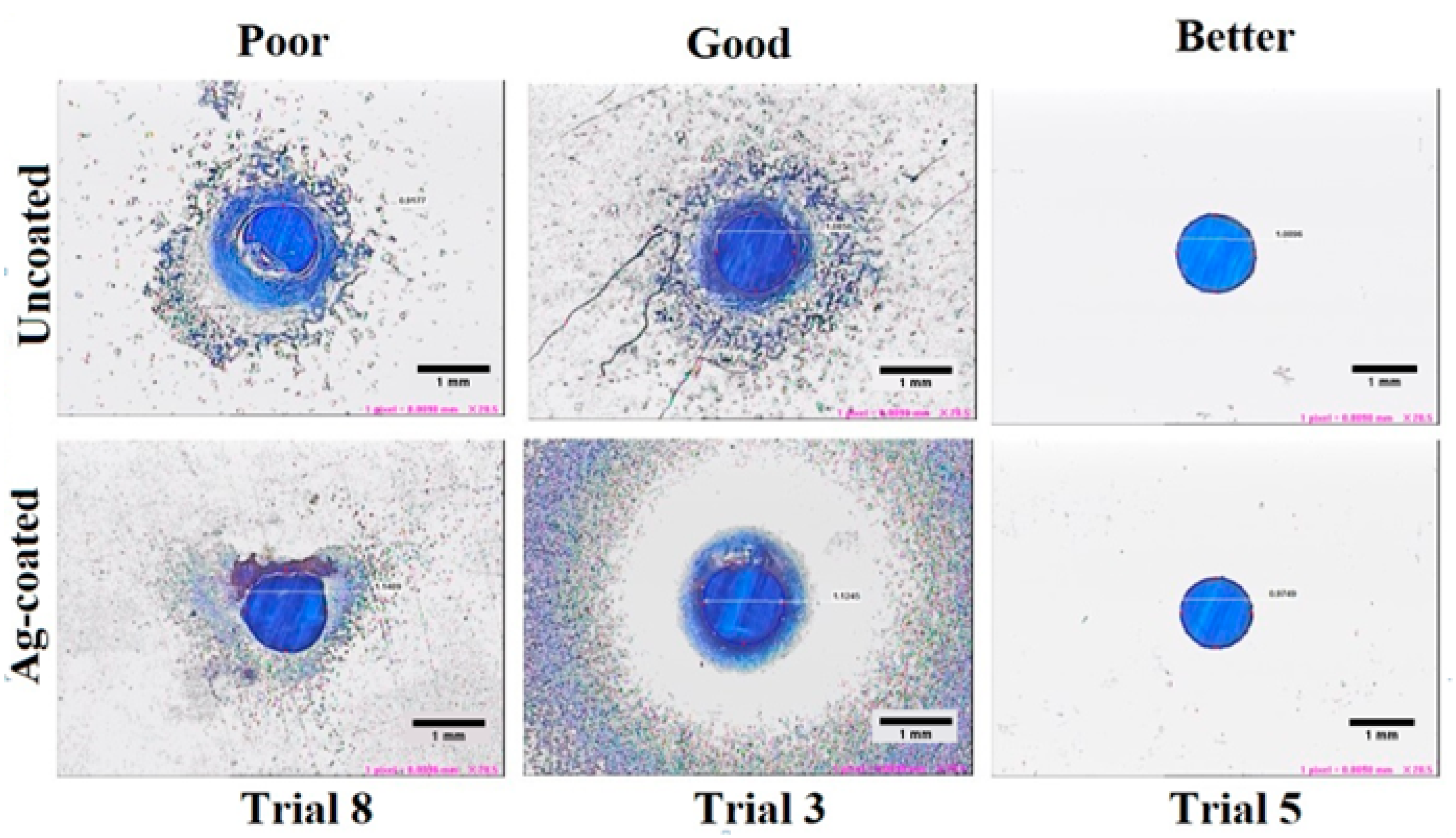 Coatings 13 00963 g007