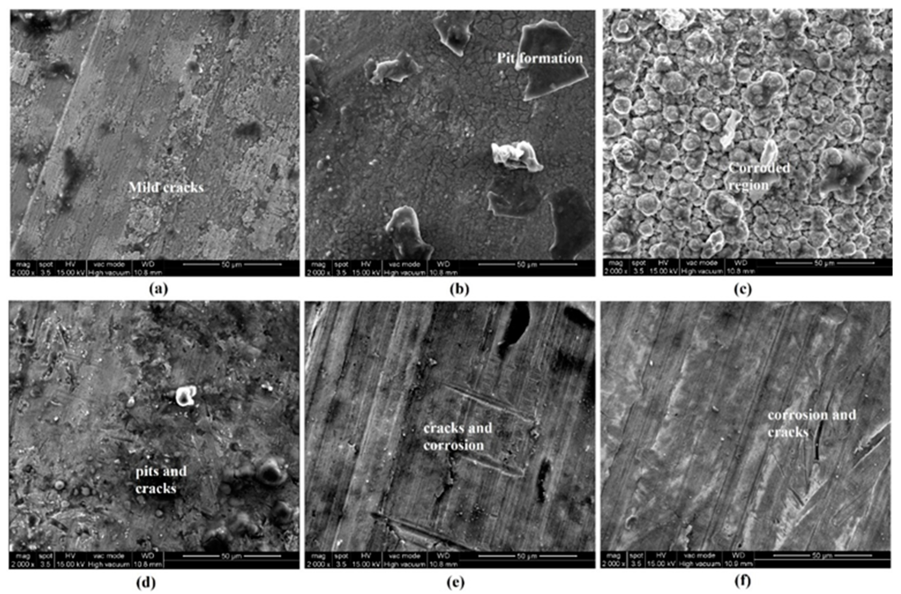 Coatings 13 00963 g010