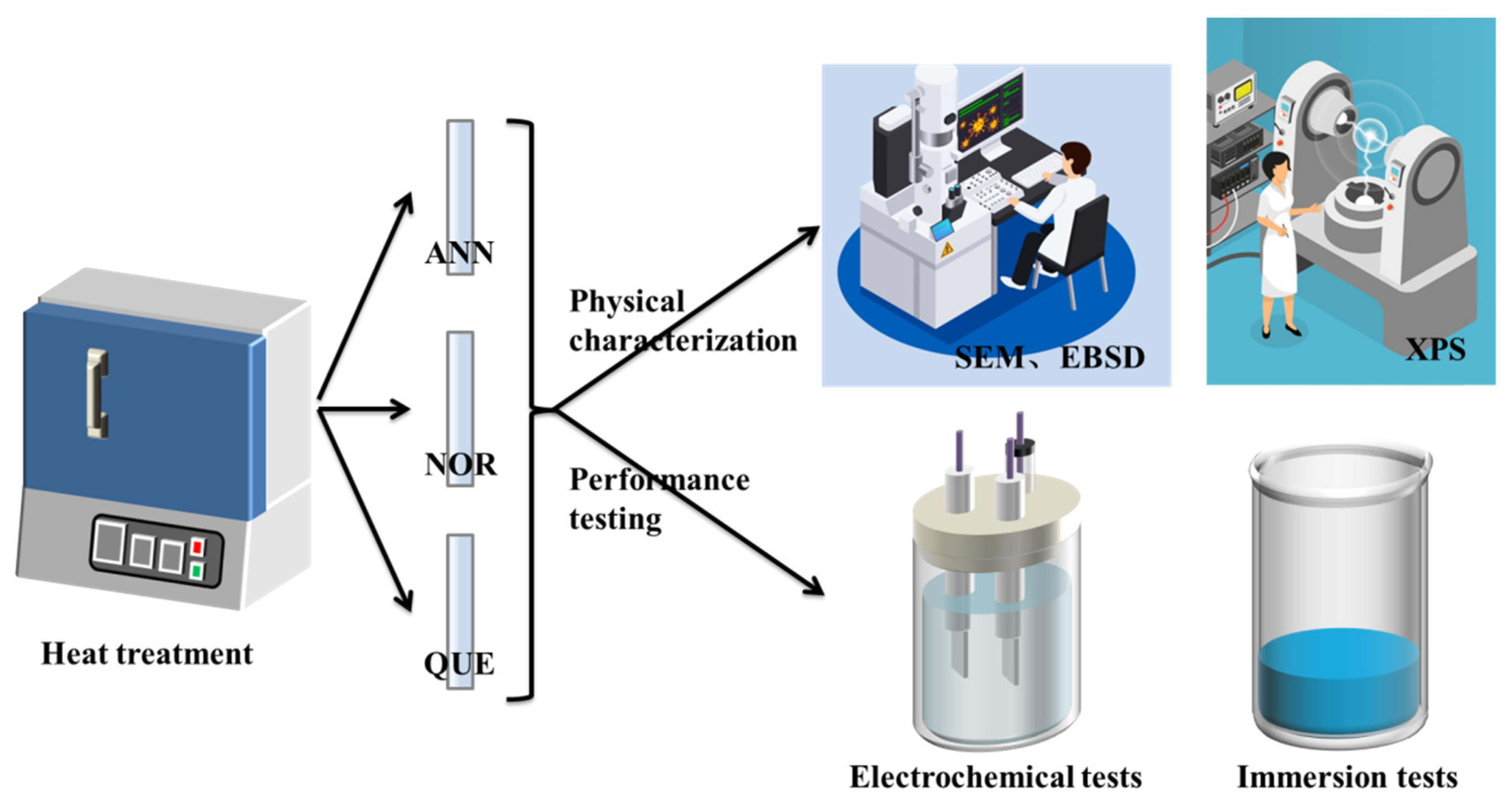 Coatings 13 00964 g002