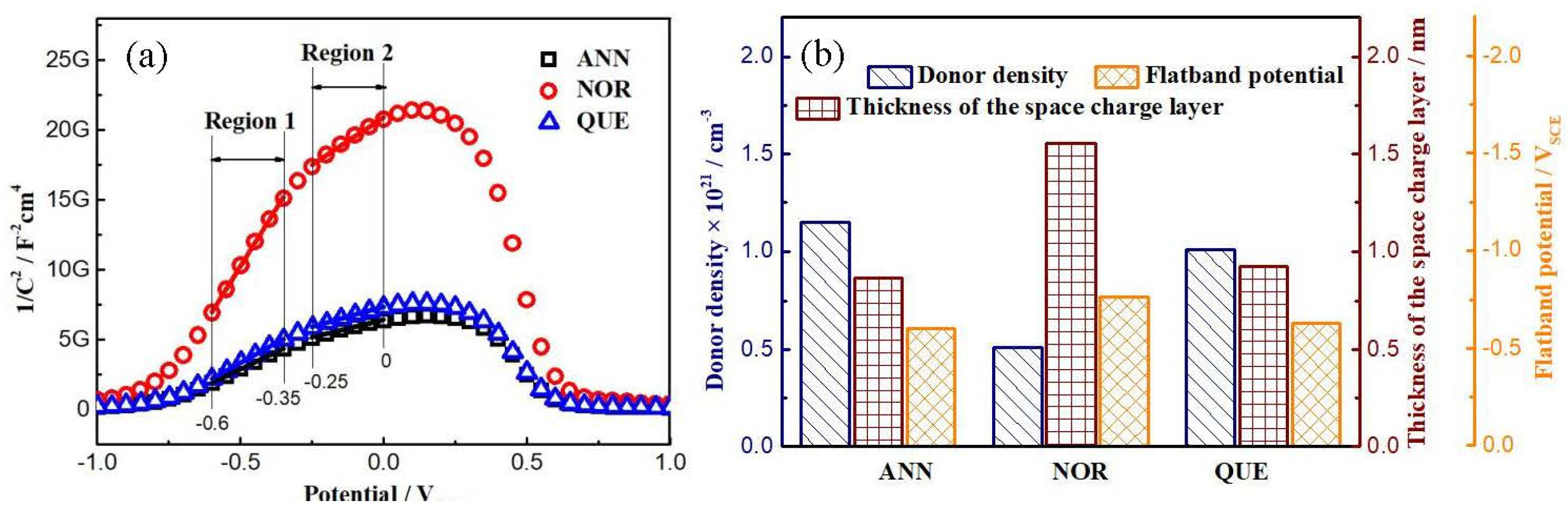 Coatings 13 00964 g006