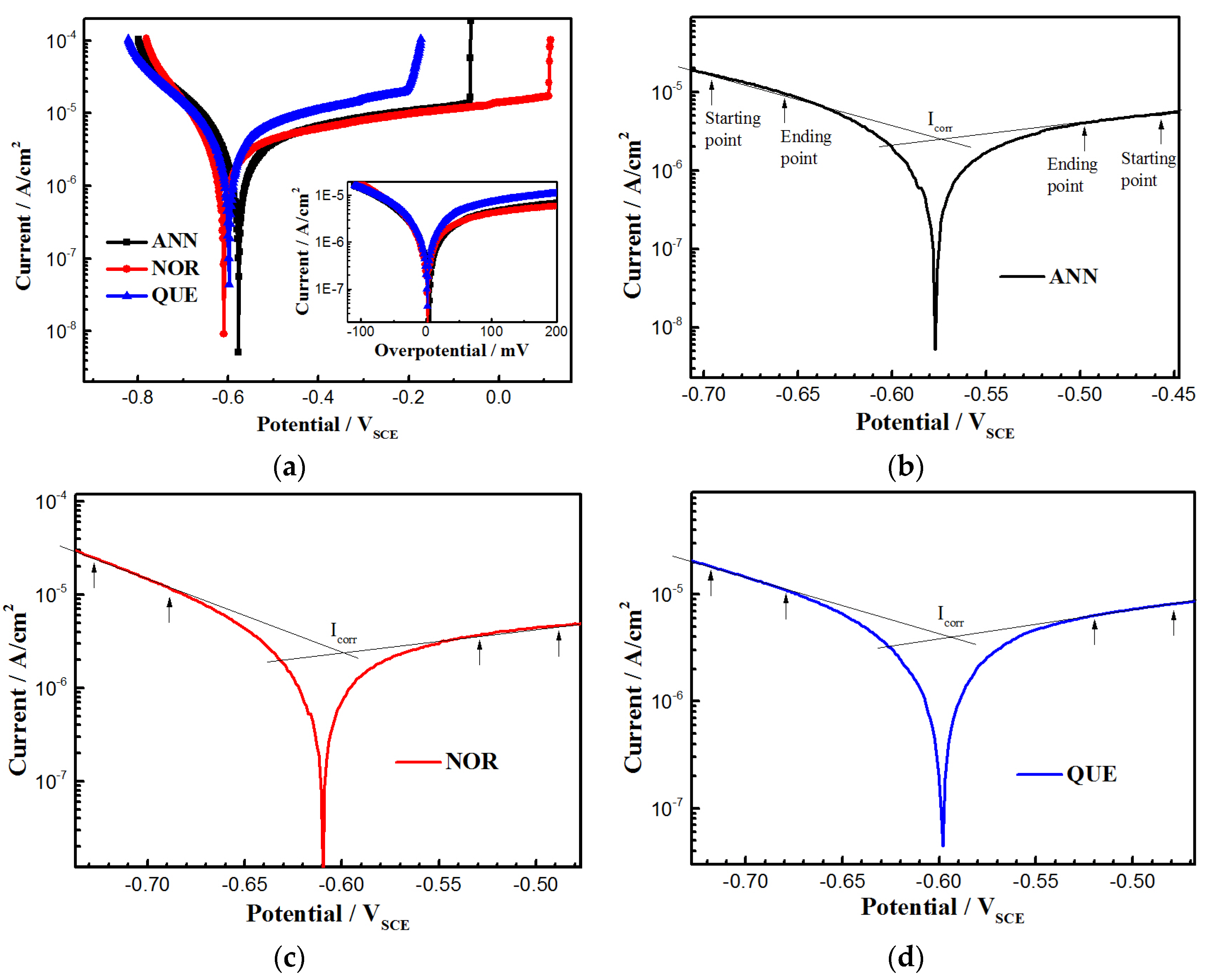 Coatings 13 00964 g009