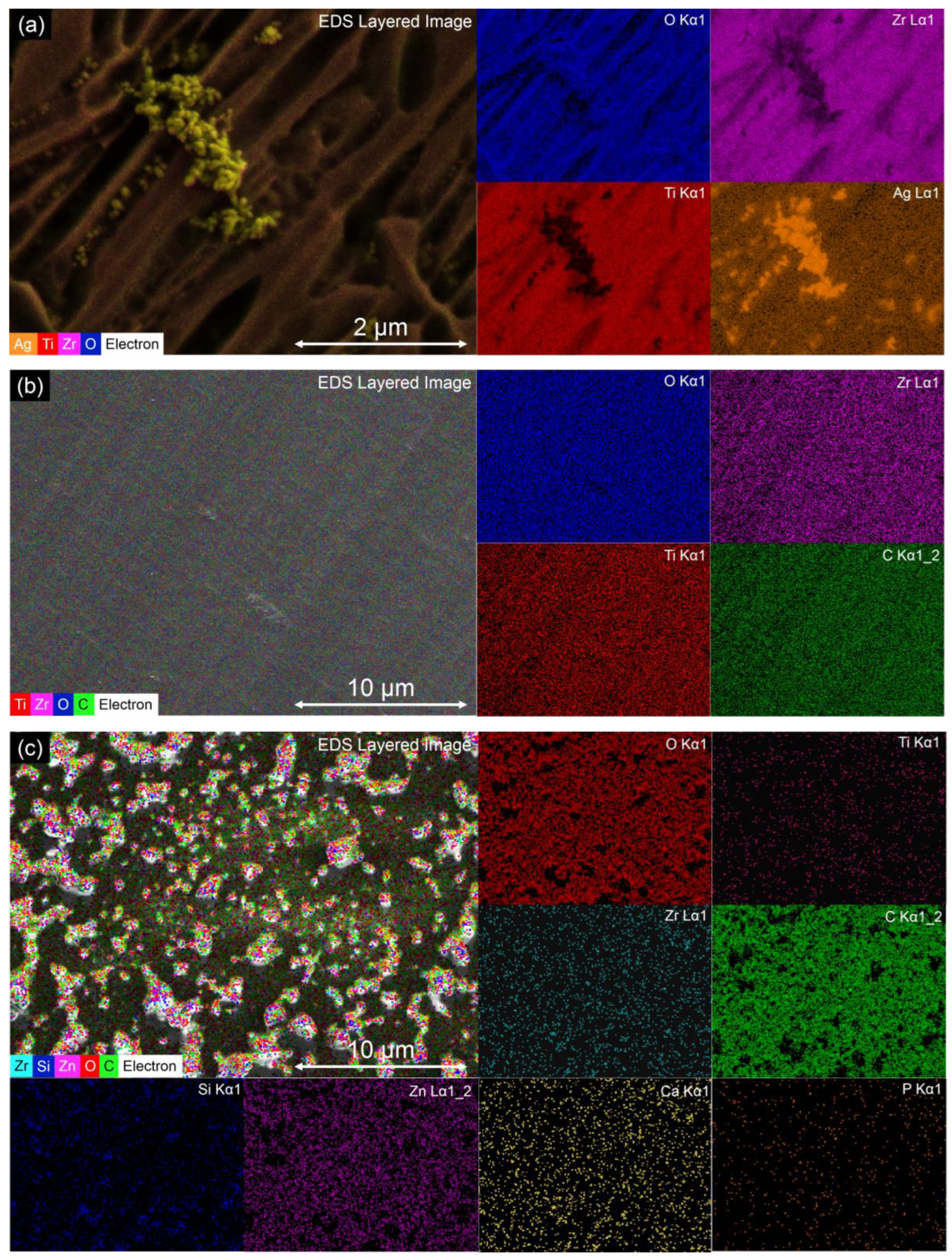 Coatings 13 00971 g002