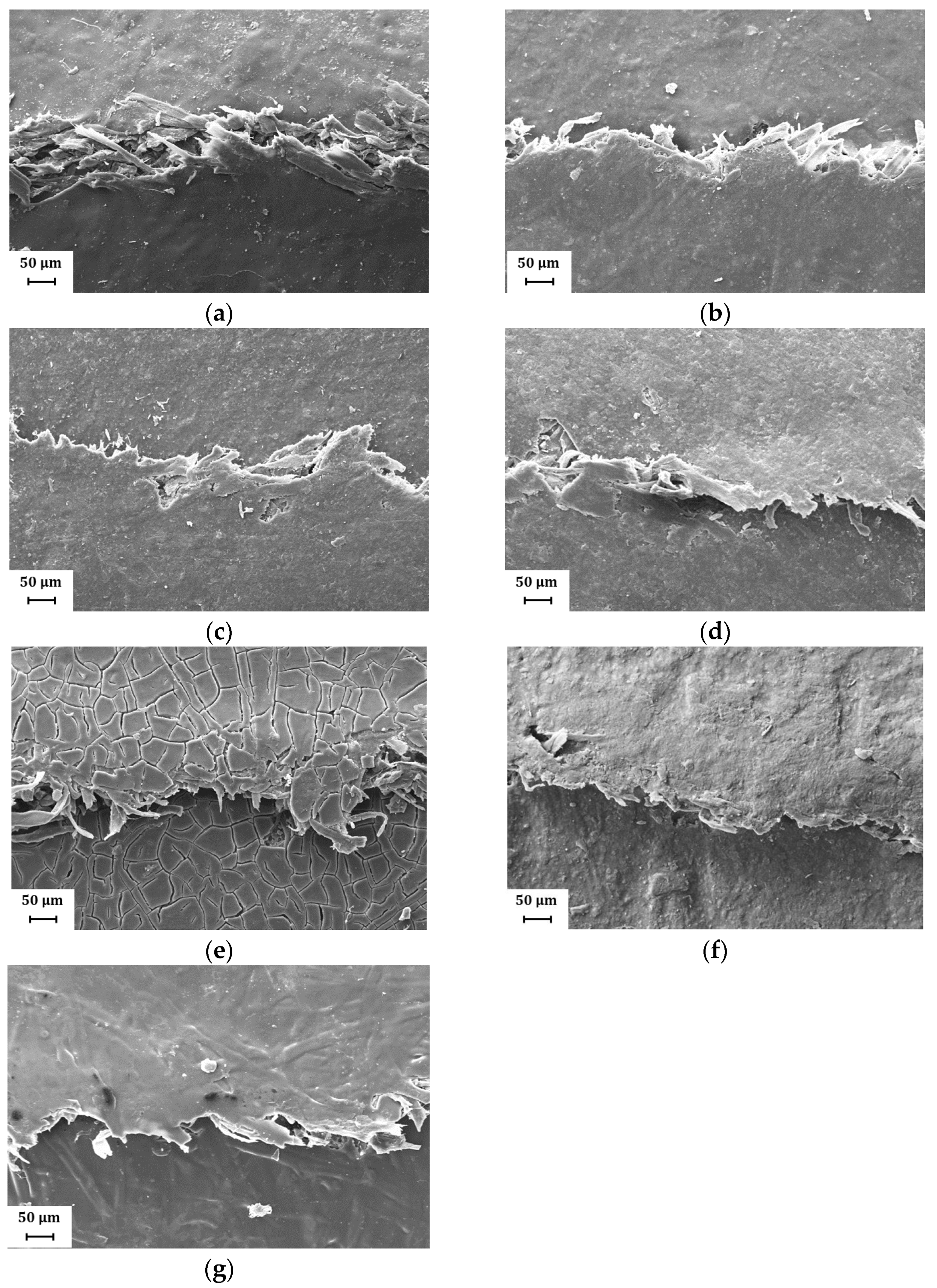 Coatings 13 00975 g009