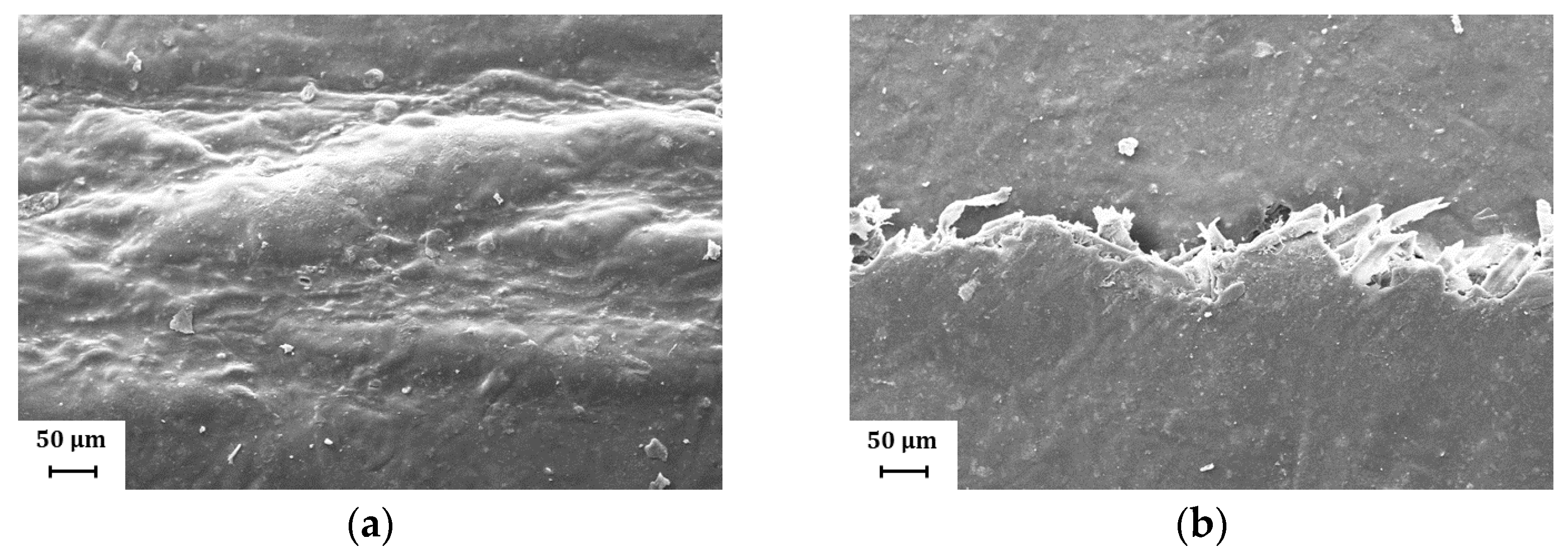 Coatings 13 00975 g010a