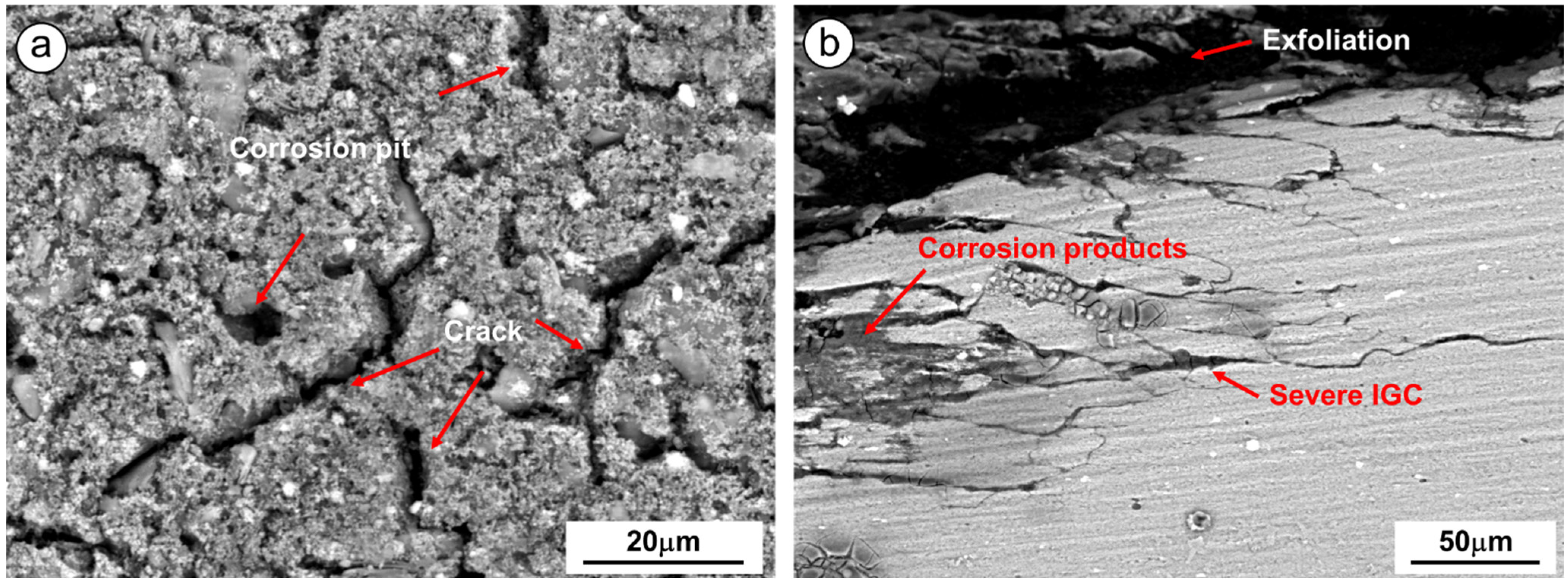 Coatings 13 00976 g005 Coatings 13 00976 g005