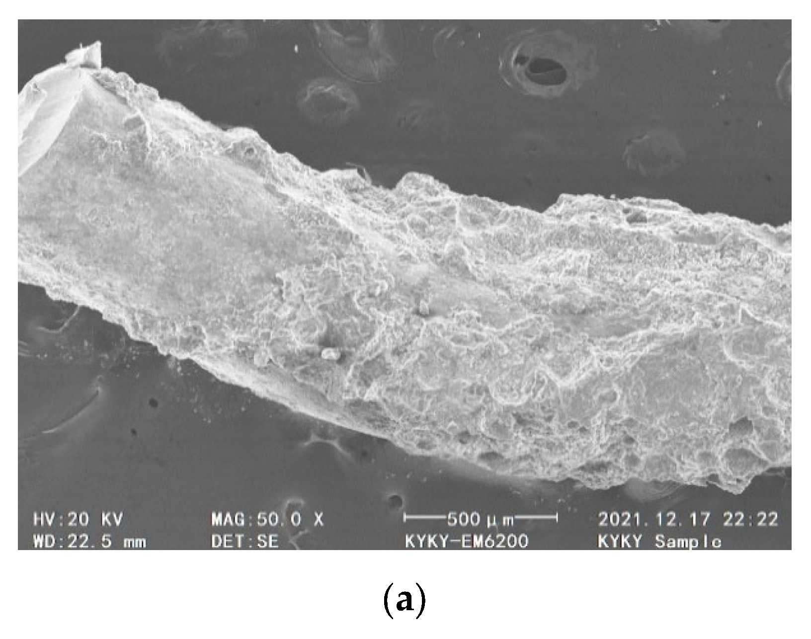 Coatings 13 00978 g012a