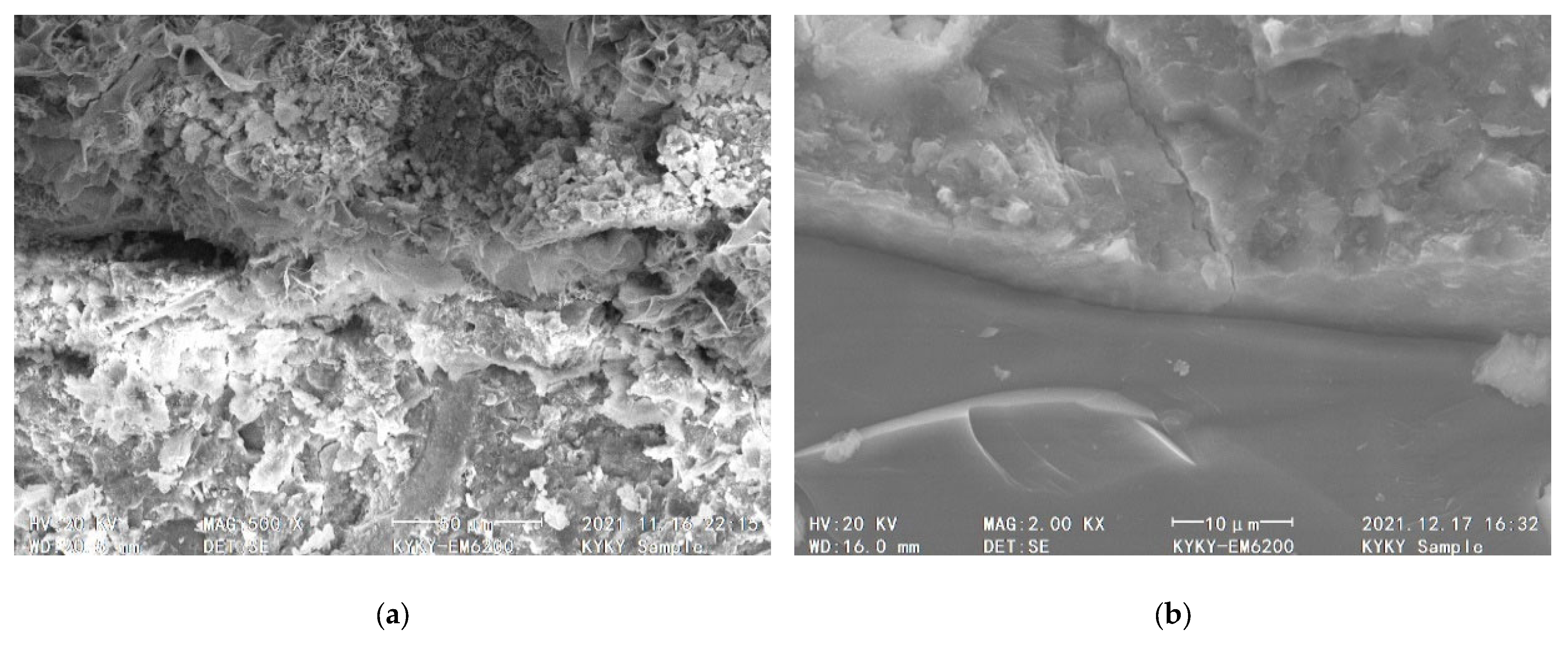 Coatings 13 00978 g013