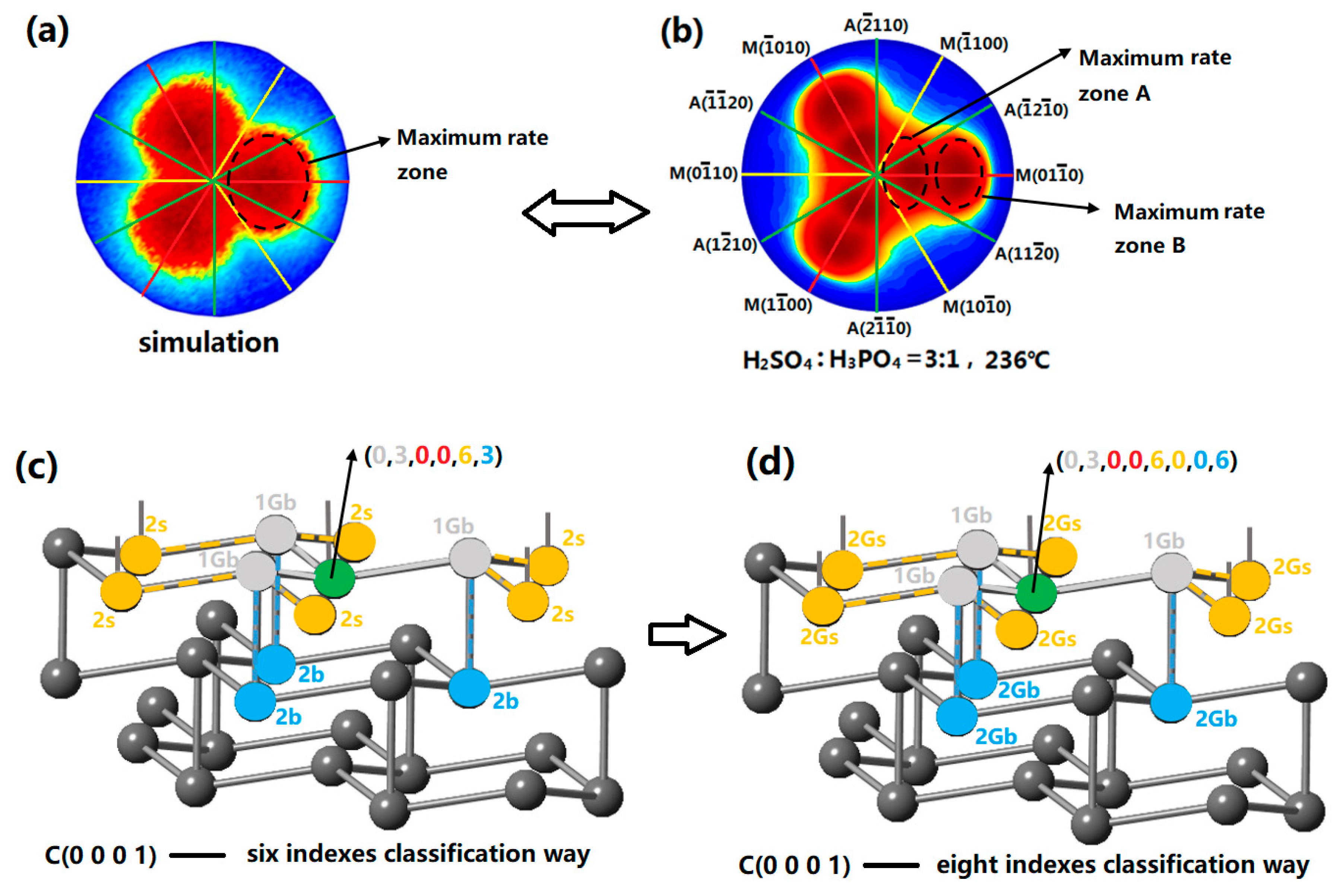 Coatings 13 00981 g003