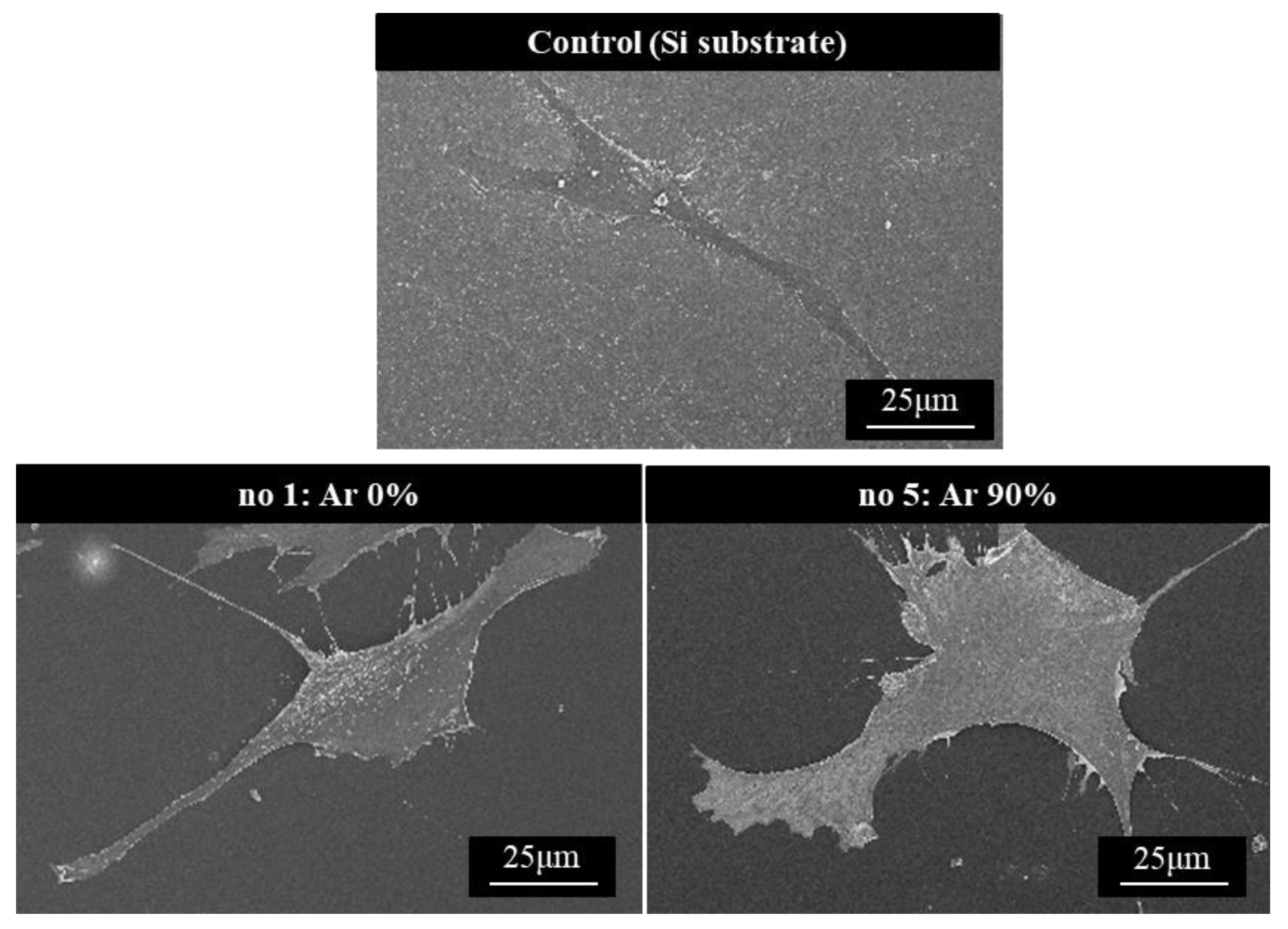 Coatings 13 00983 g005