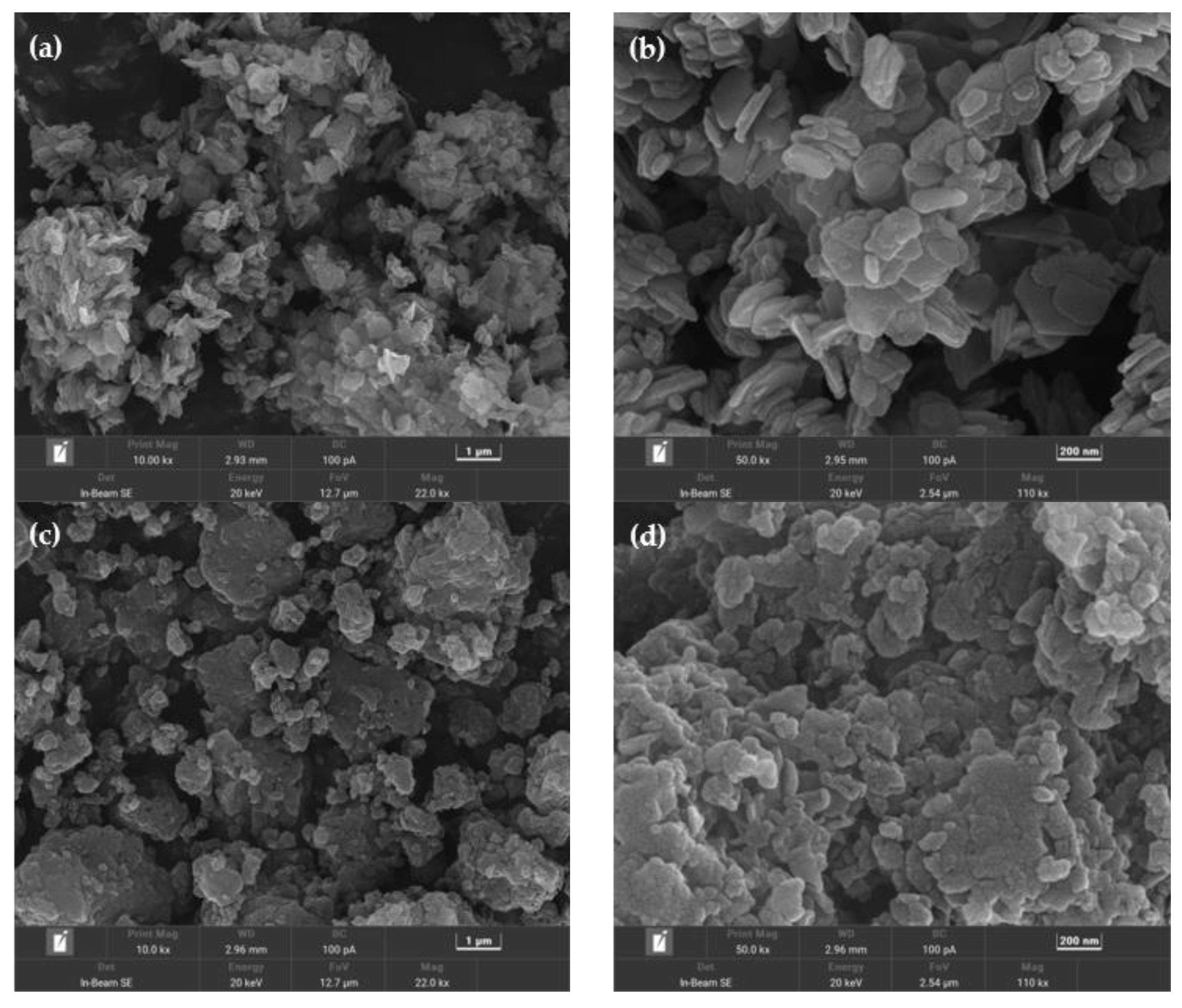 Coatings 13 00985 g004