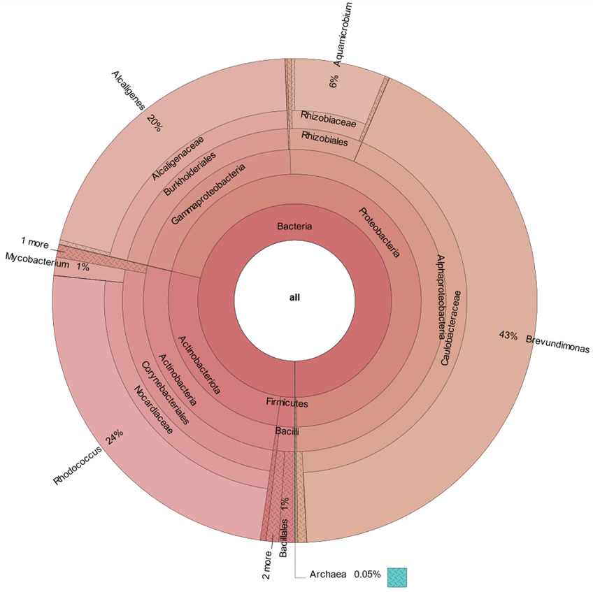 Coatings 13 00987 g008
