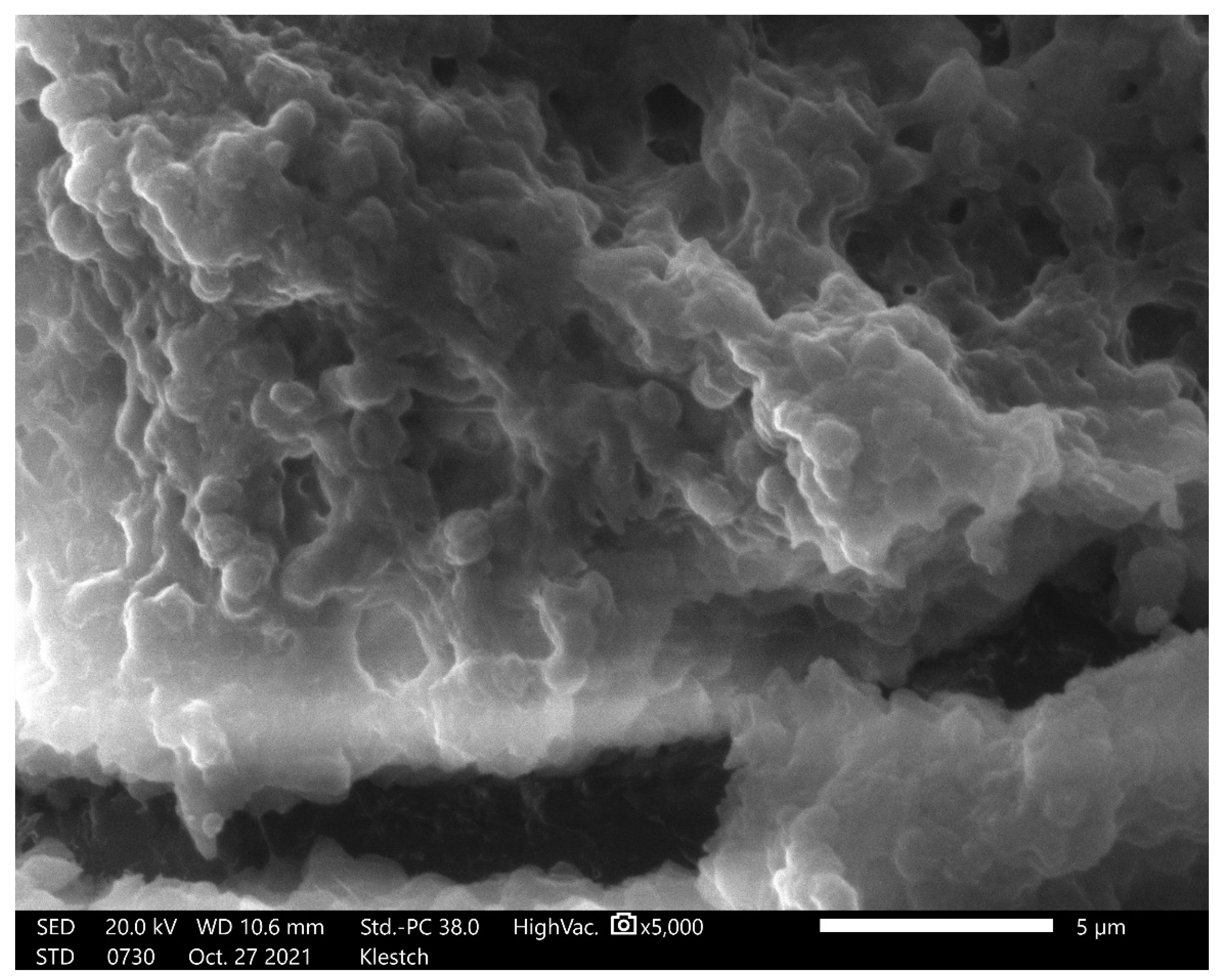 Coatings 13 00987 g012