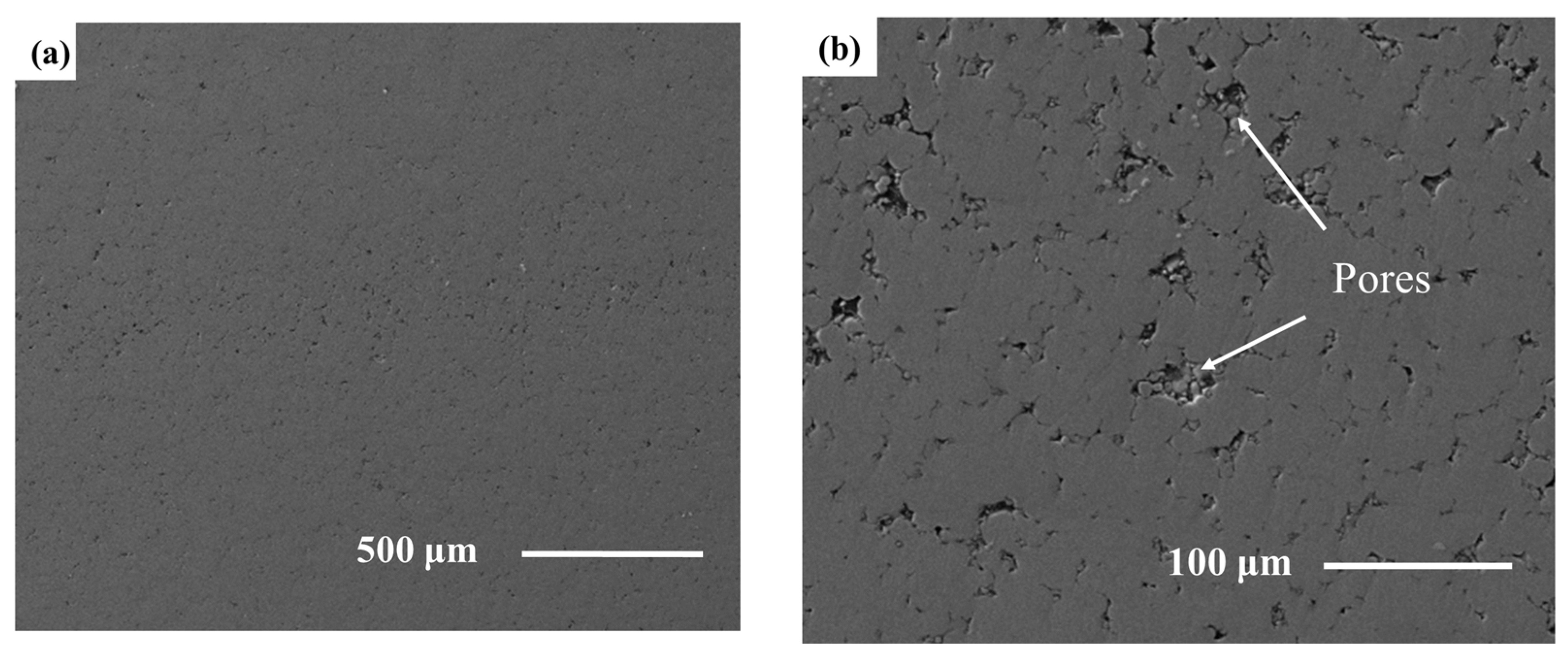 Coatings 13 00988 g013a Coatings 13 00988 g013a