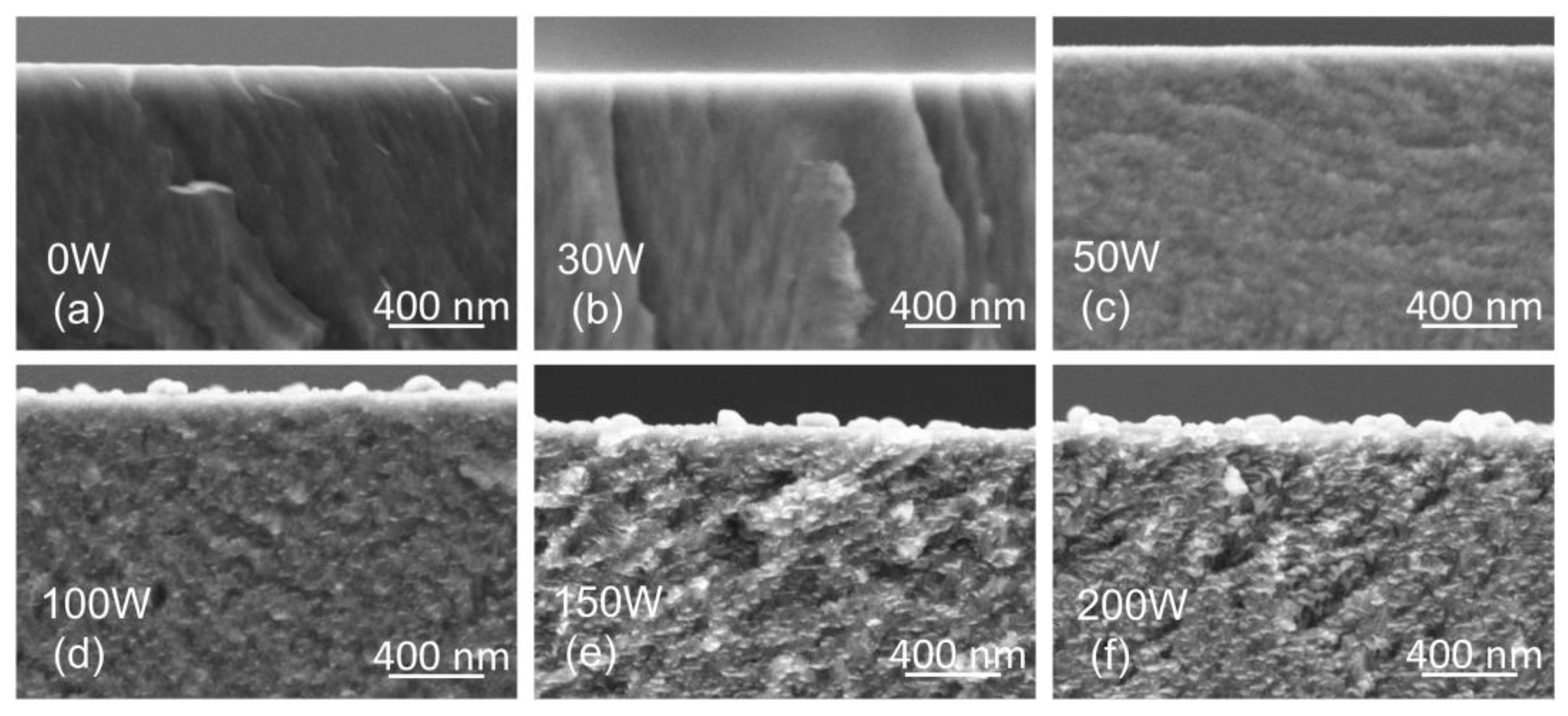 Coatings 13 00989 g004