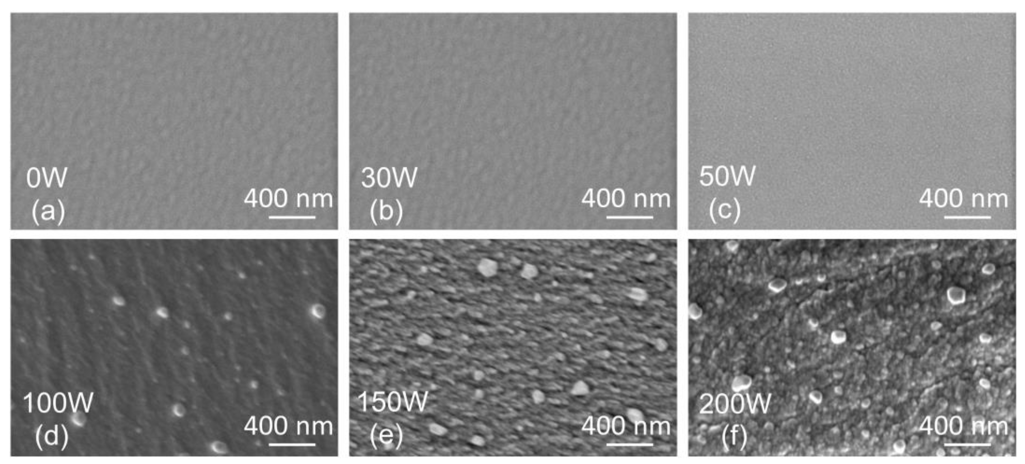 Coatings 13 00989 g005