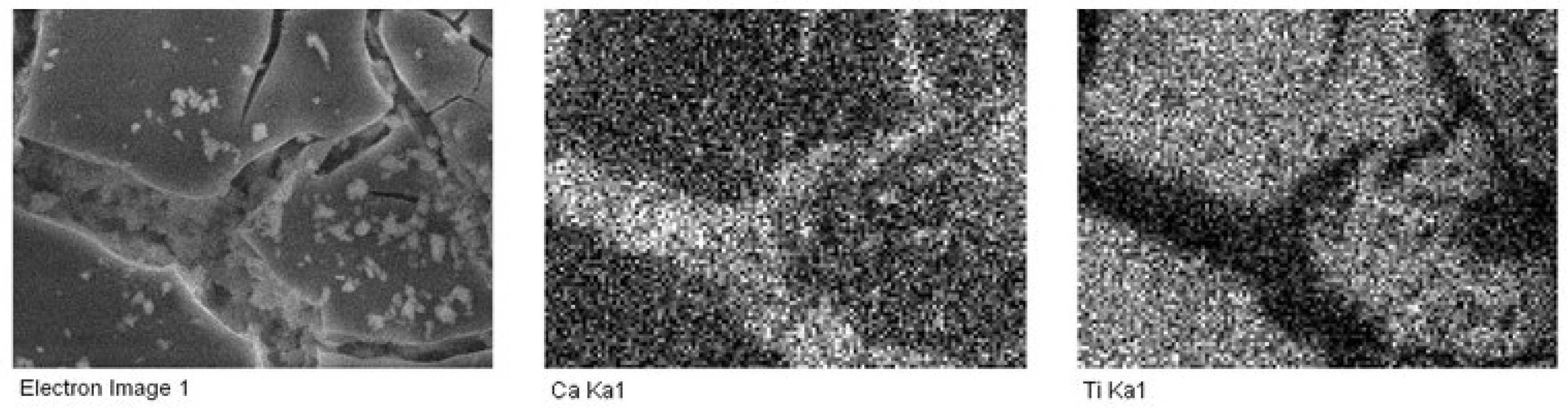 Coatings 13 00990 g006