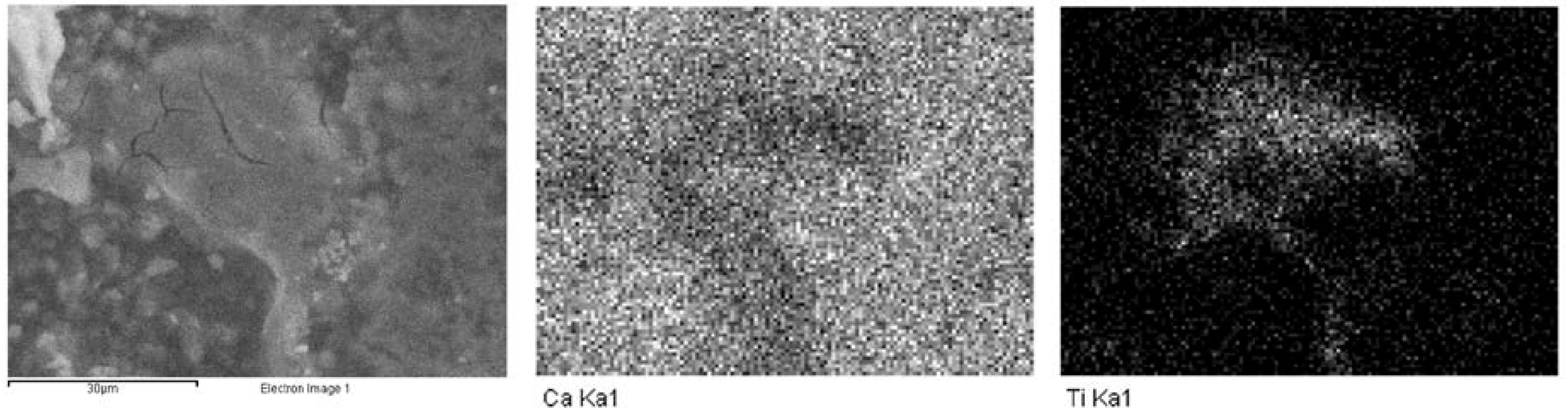 Coatings 13 00990 g007