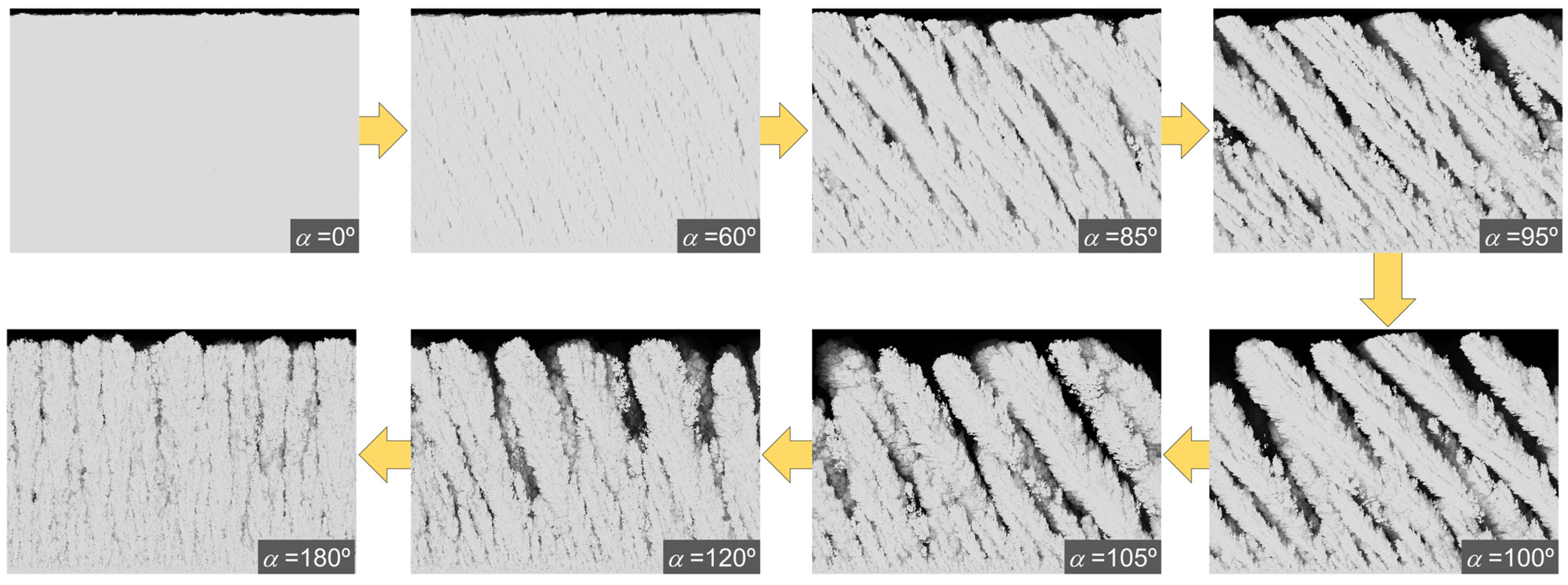 Coatings 13 00991 g003