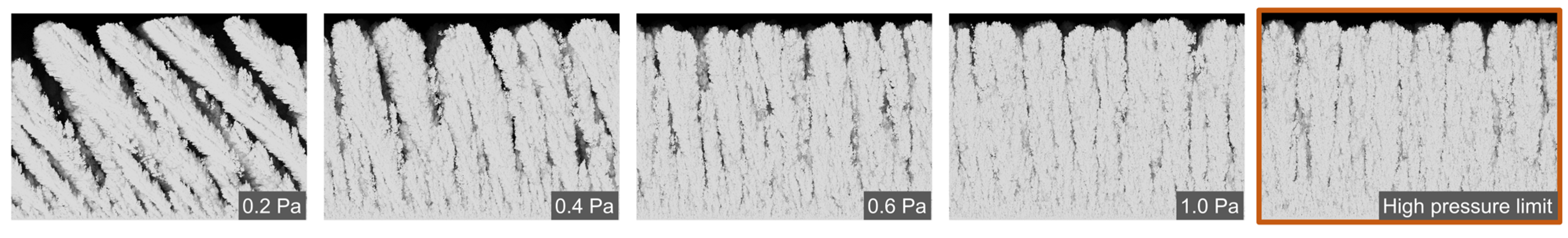 Coatings 13 00991 g004