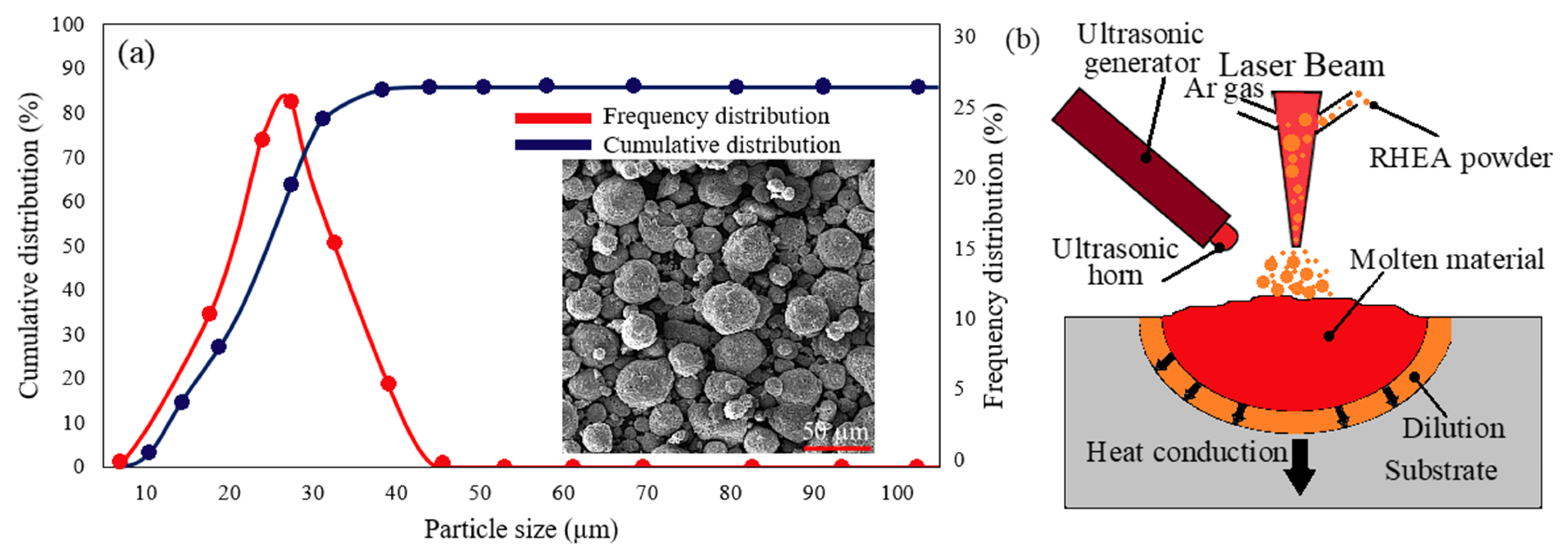 Coatings 13 00995 g001