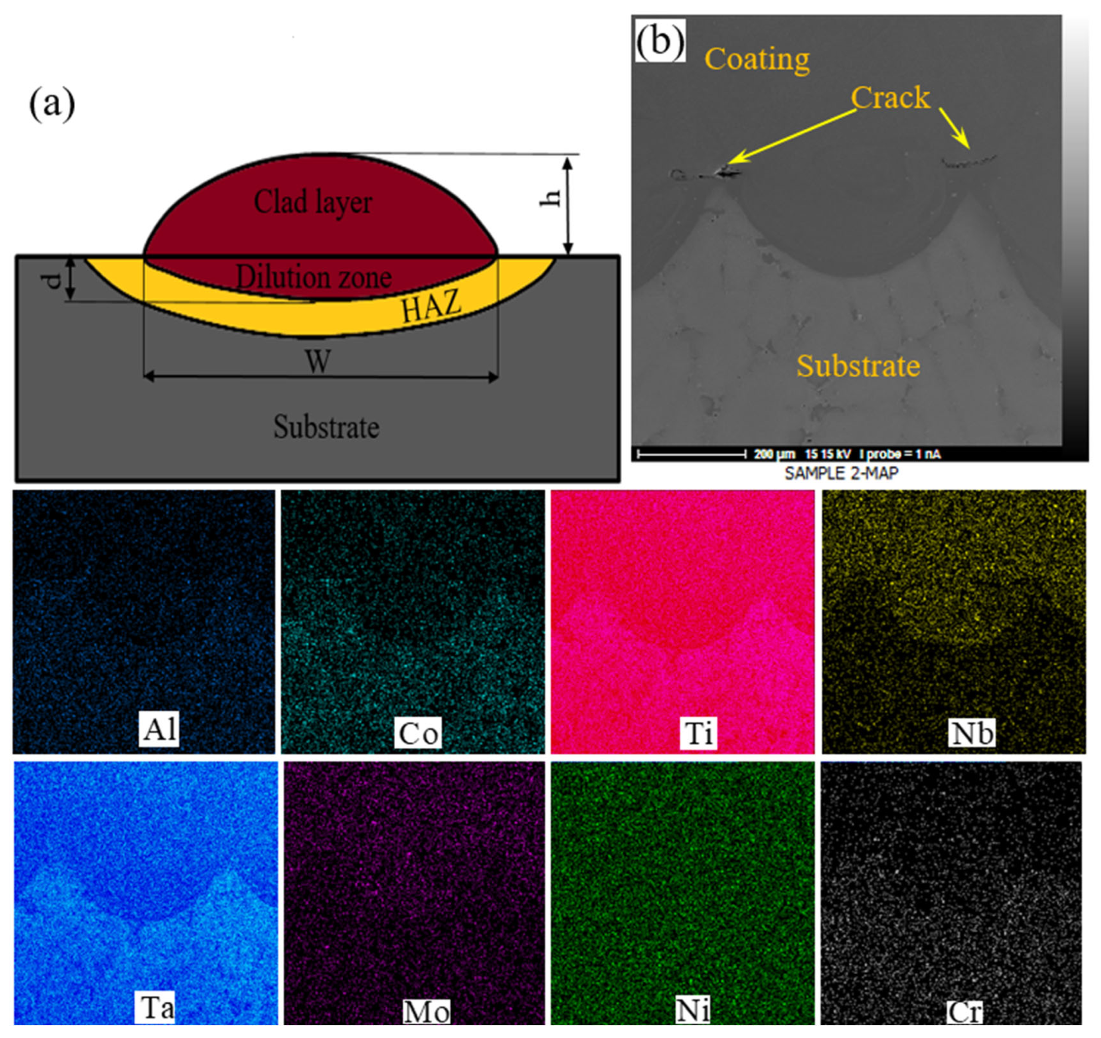 Coatings 13 00995 g004