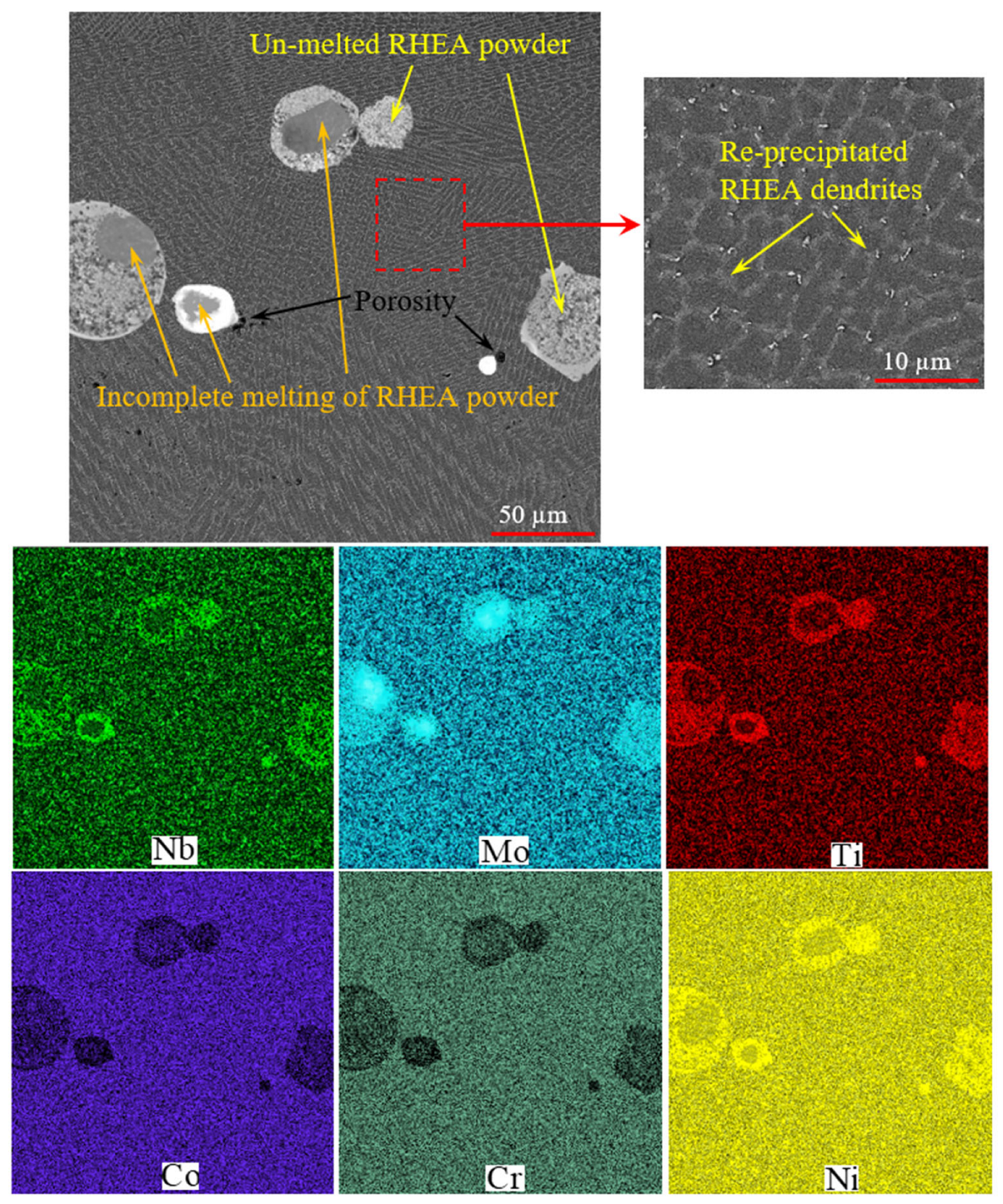 Coatings 13 00995 g005