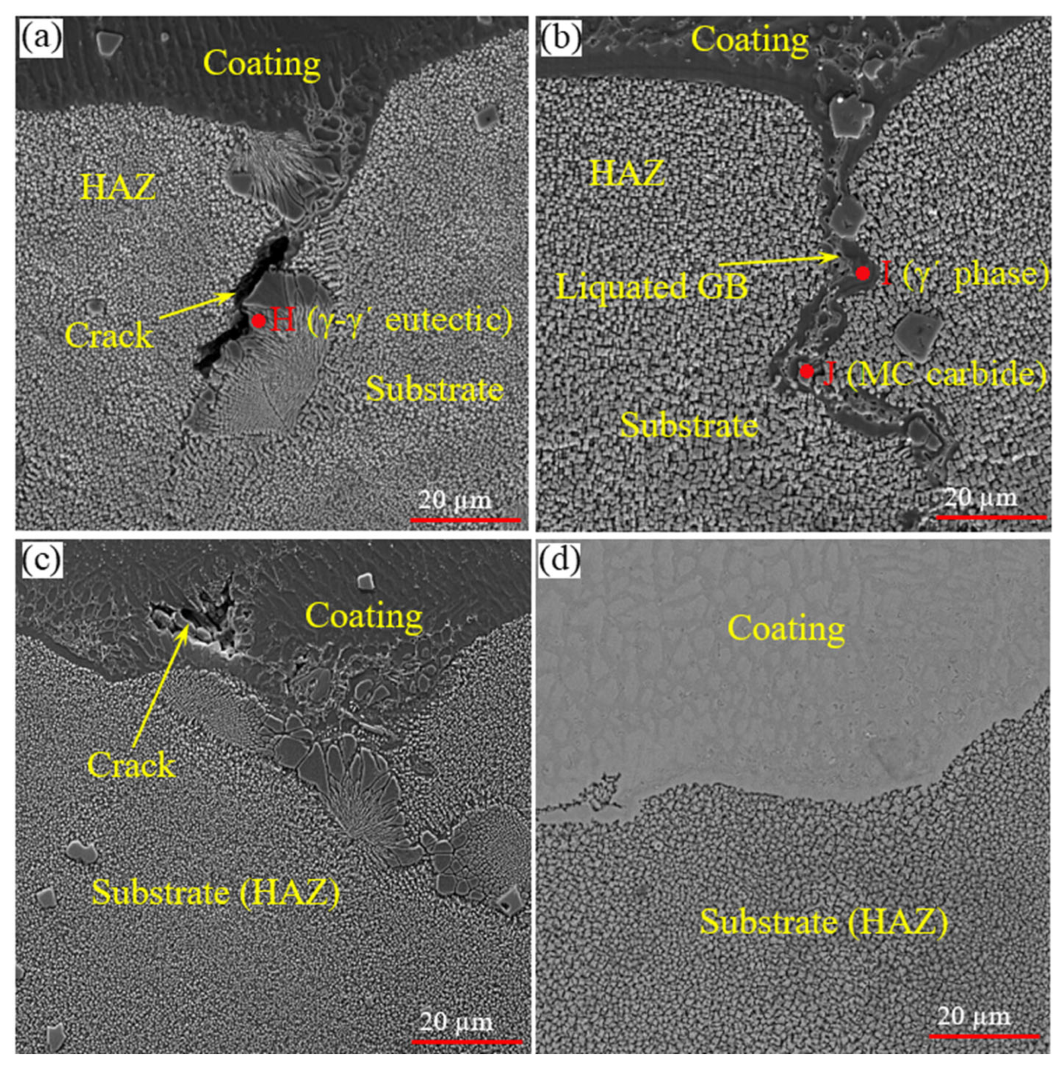 Coatings 13 00995 g008