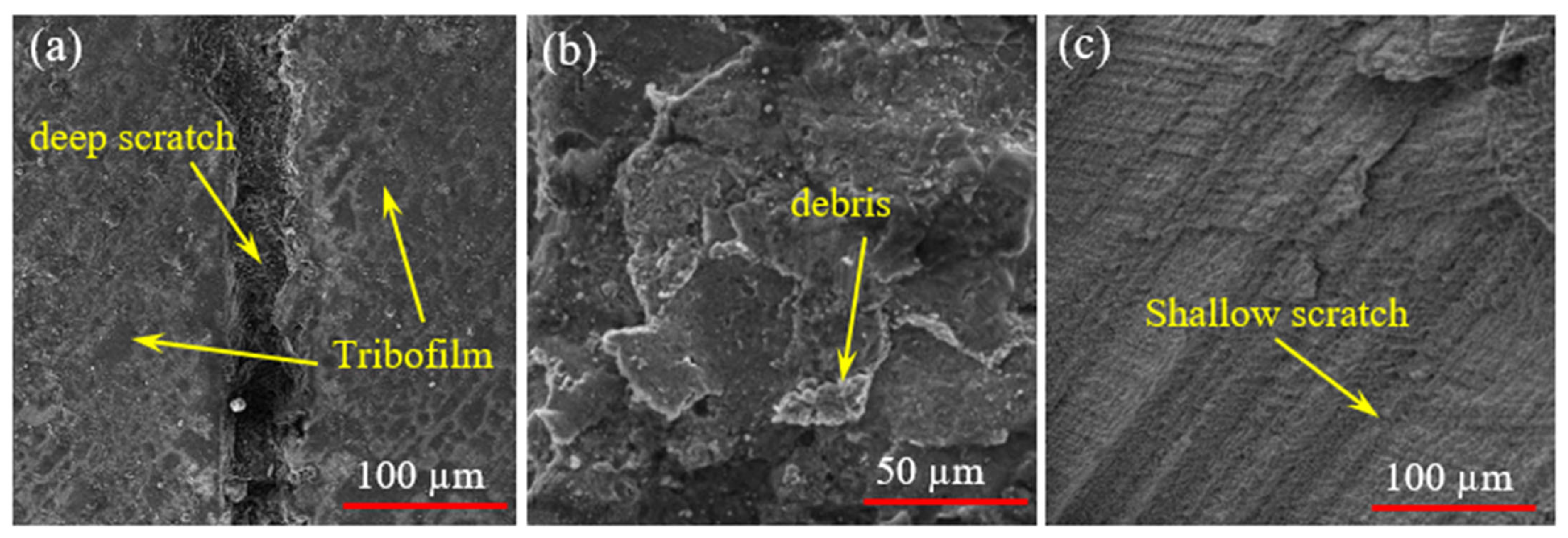 Coatings 13 00995 g016