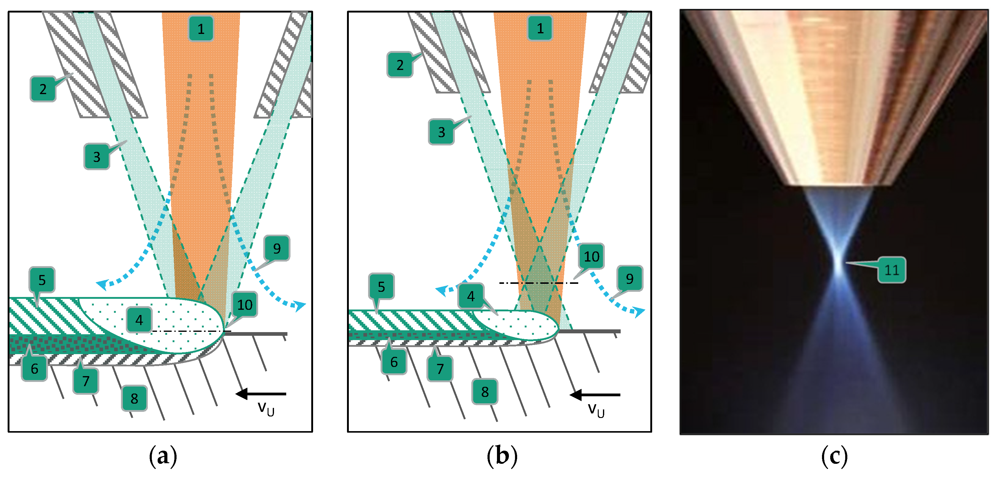 Coatings 13 00998 g001