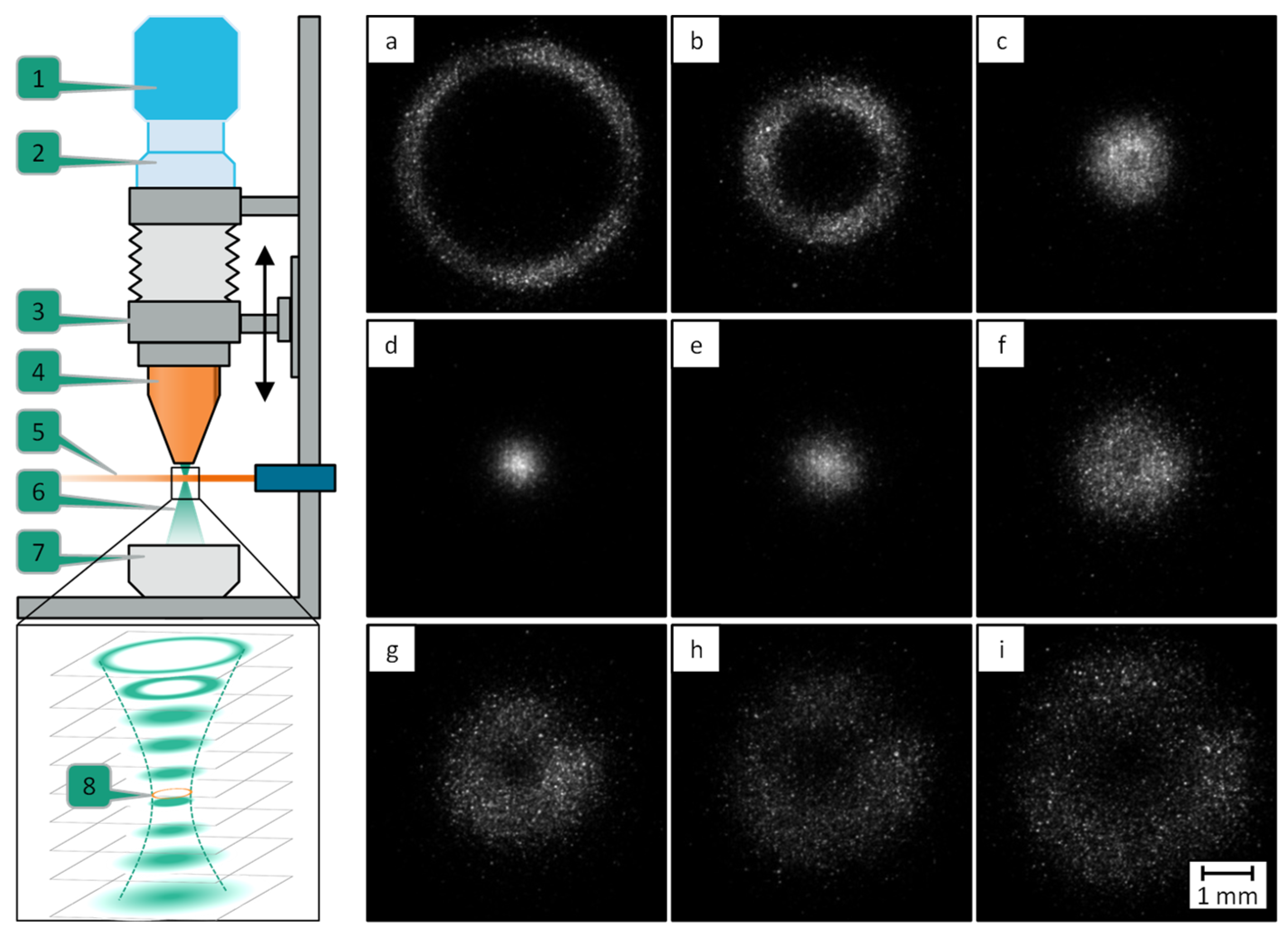 Coatings 13 00998 g006