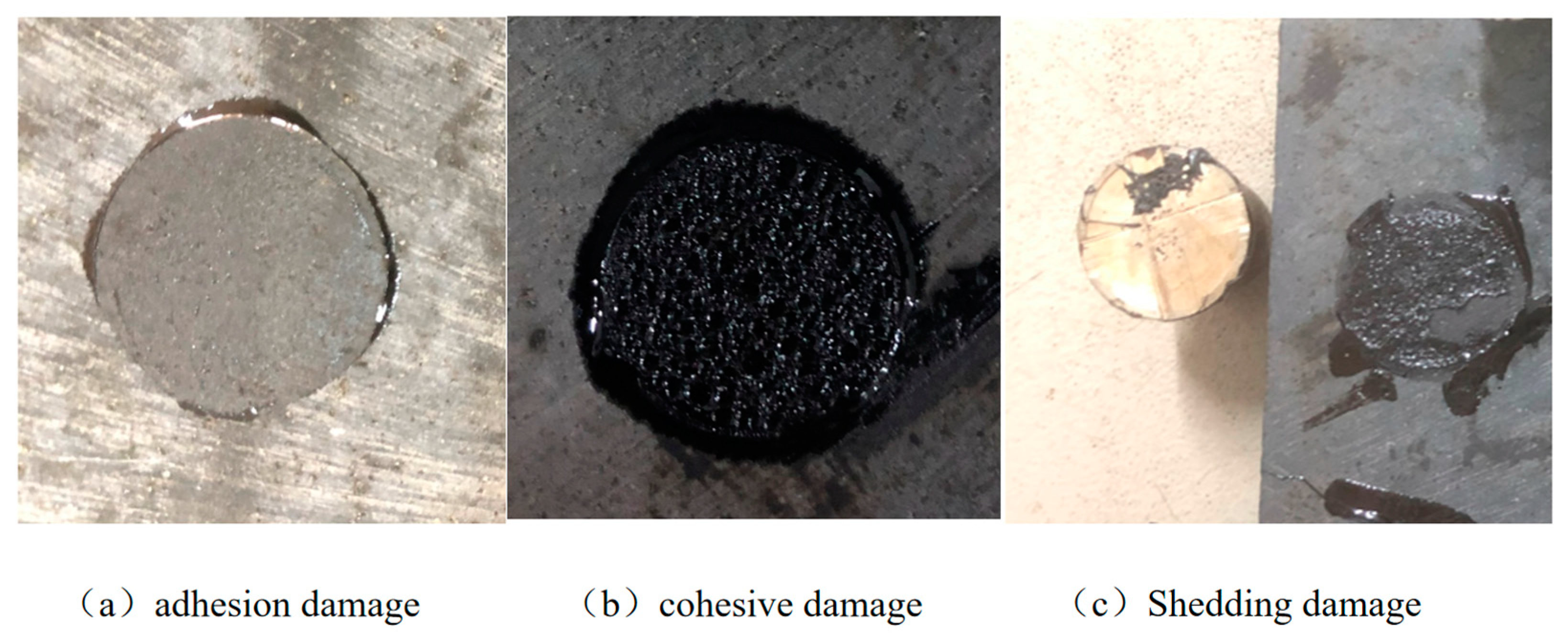 Coatings 13 01001 g004