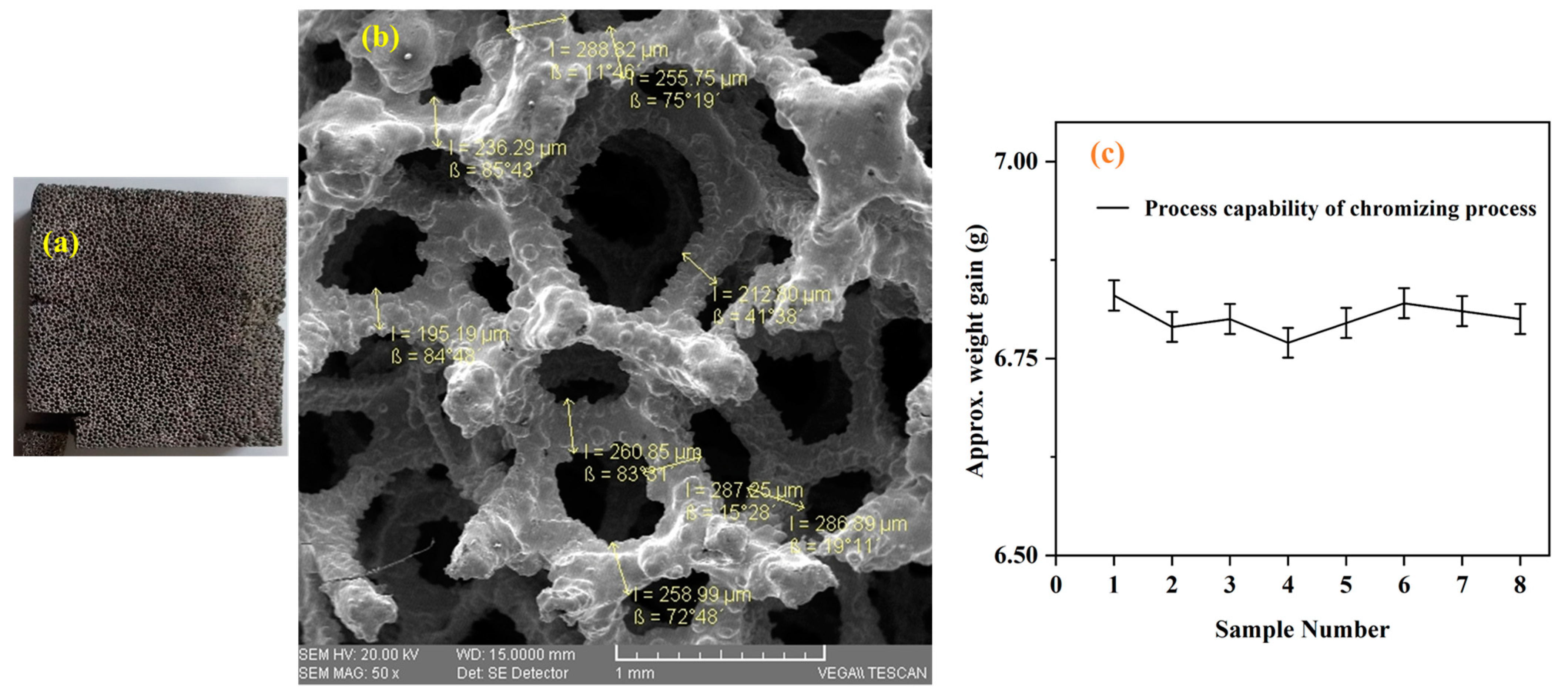 Coatings 13 01002 g005