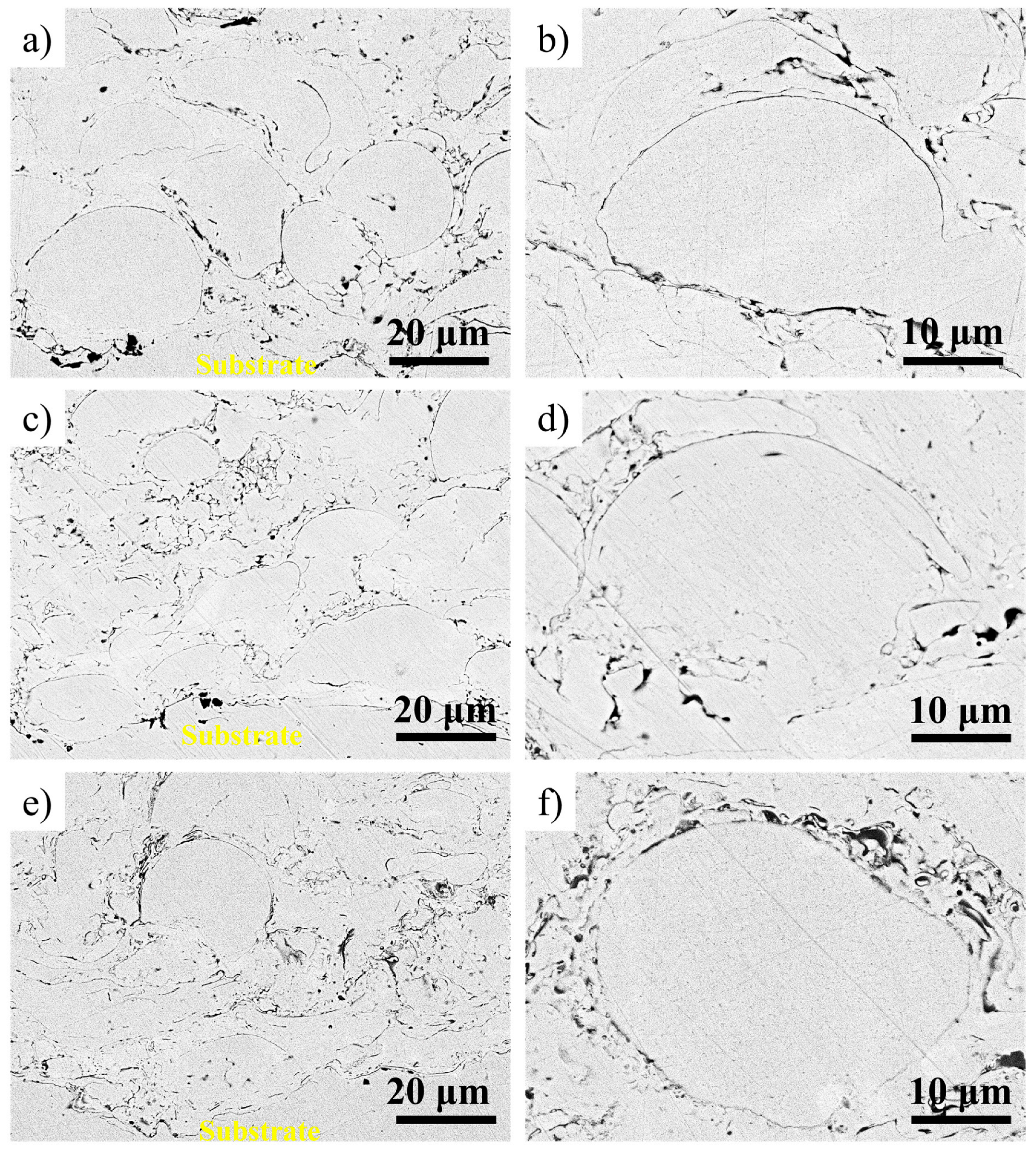 Coatings 13 01004 g006