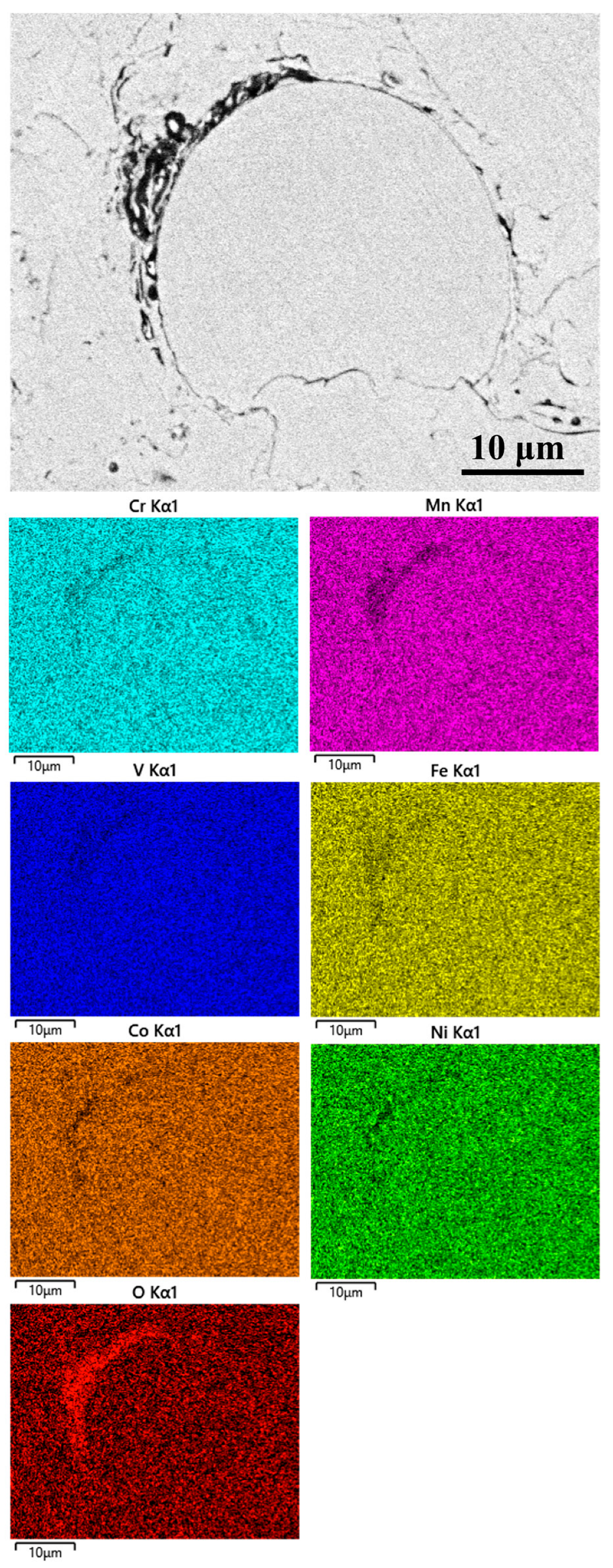 Coatings 13 01004 g007