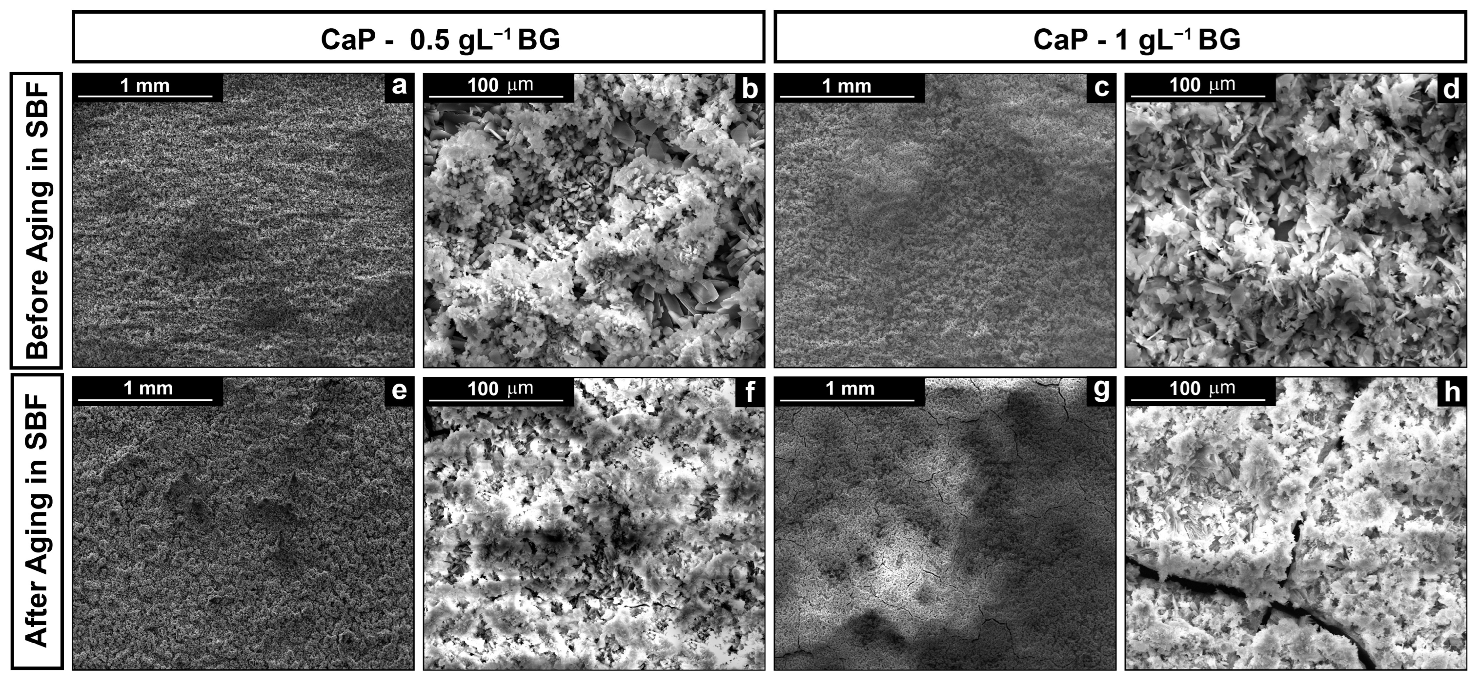 Coatings 13 01006 g001