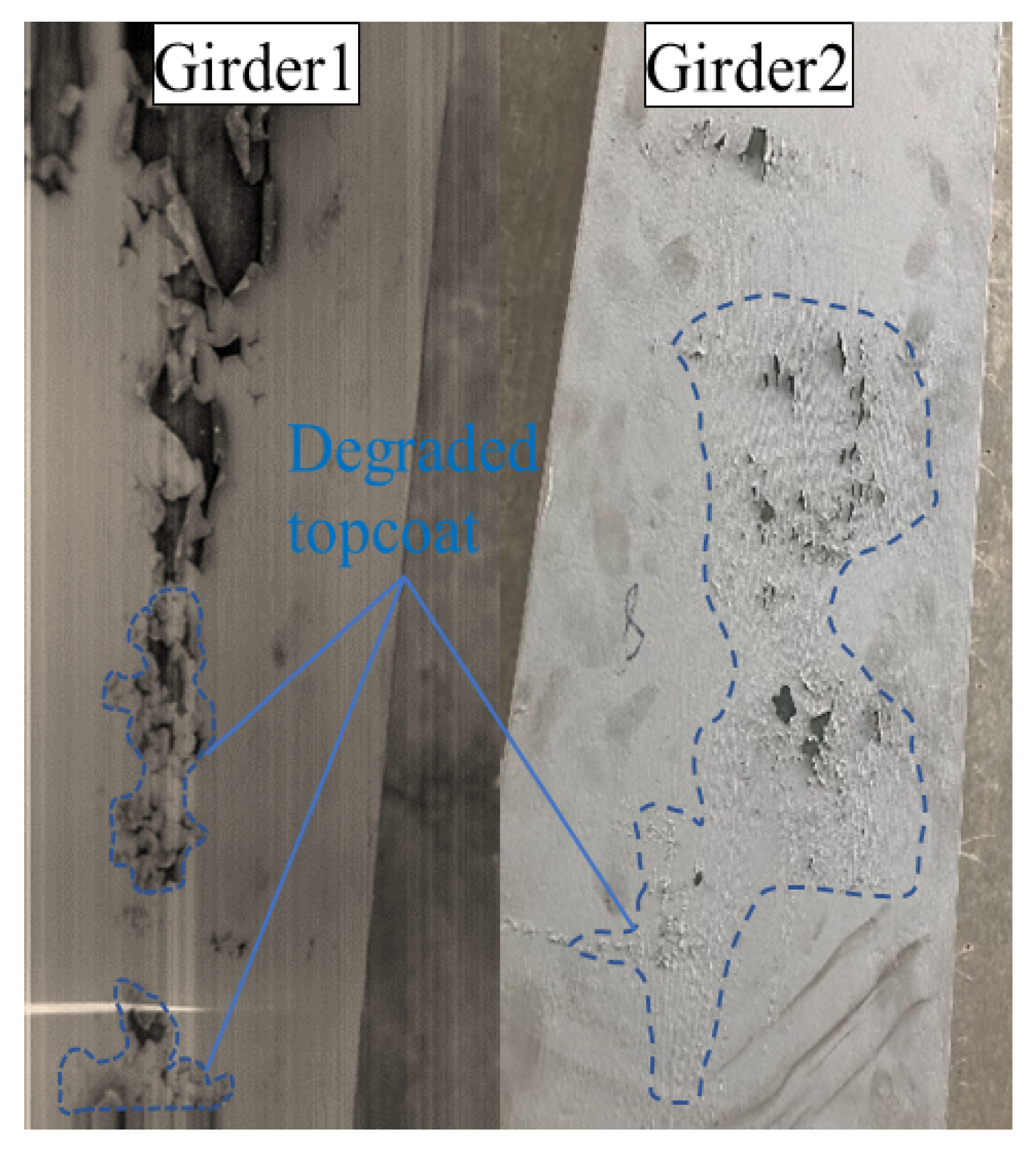 Coatings 13 01008 g008