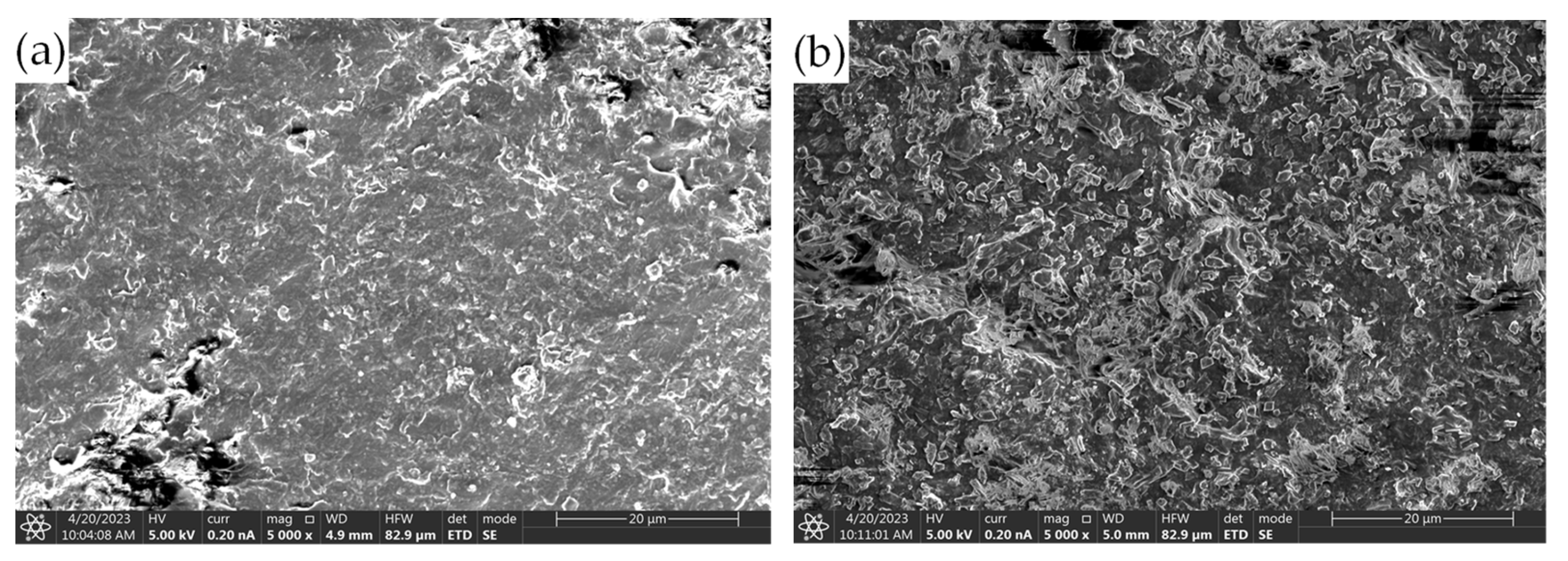 Coatings 13 01008 g010