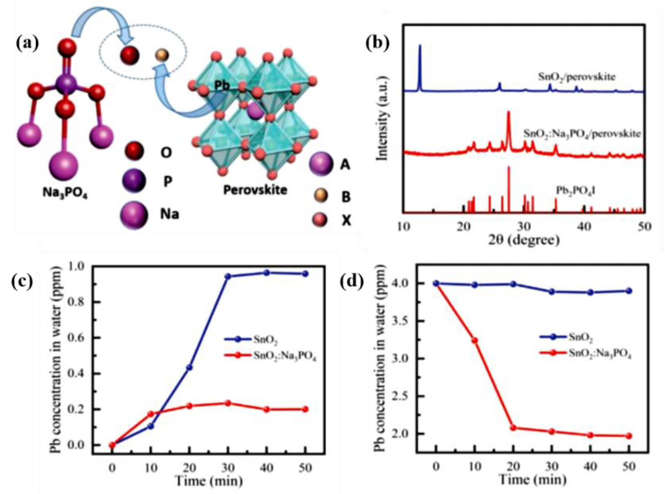 Coatings 13 01009 g007