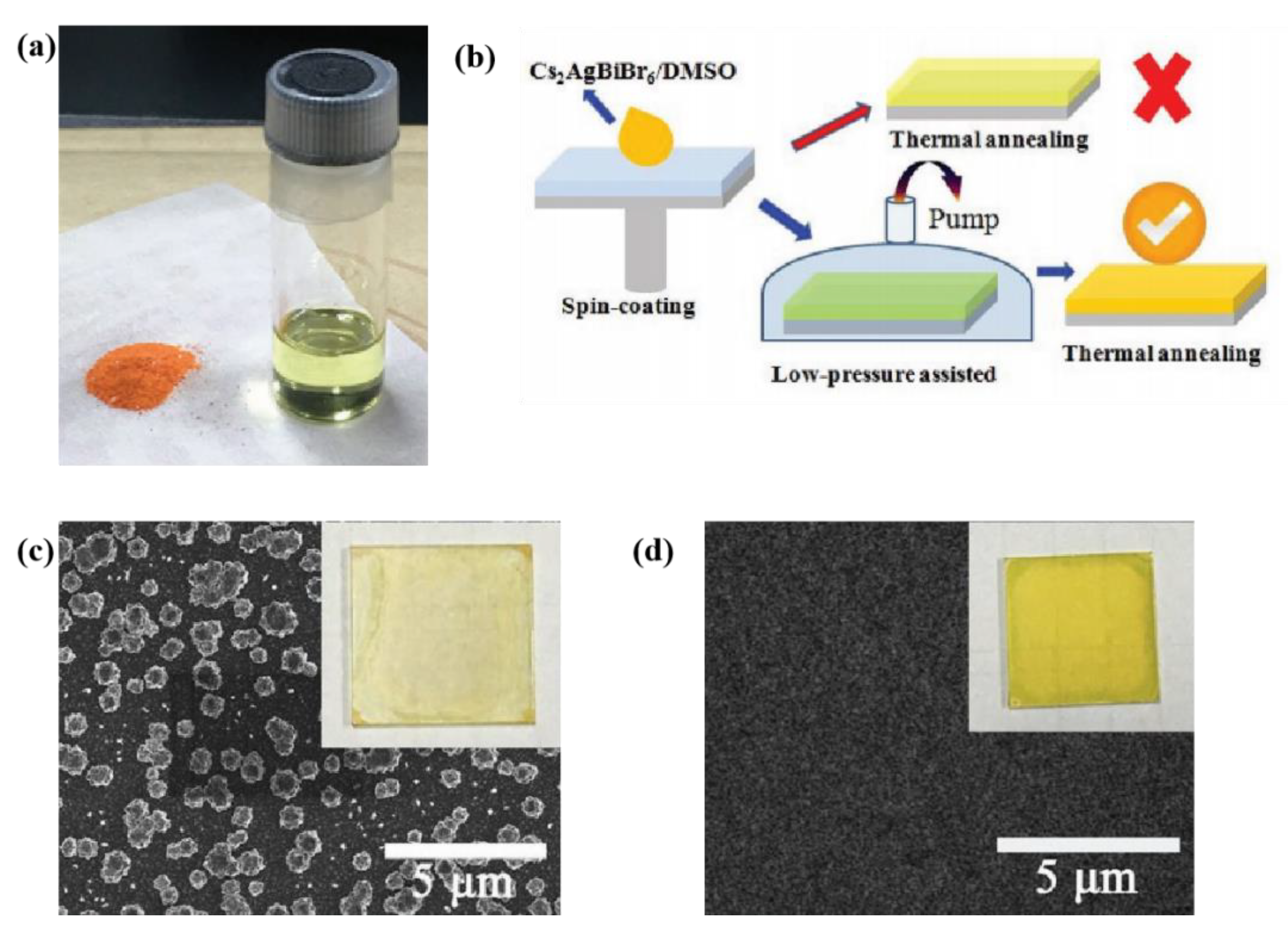 Coatings 13 01009 g009