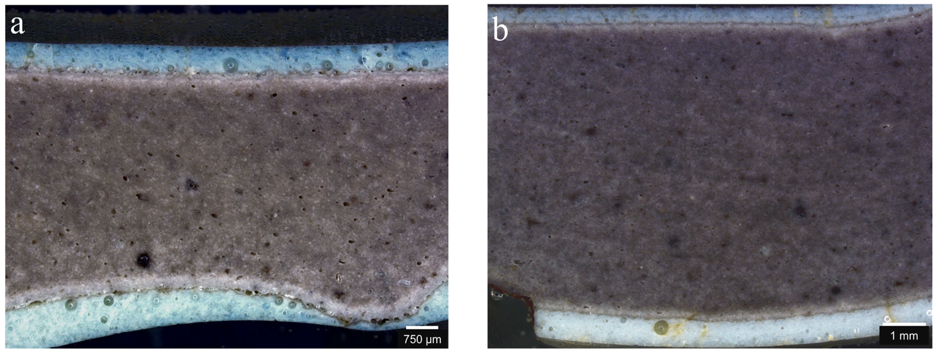 Coatings 13 01011 g003