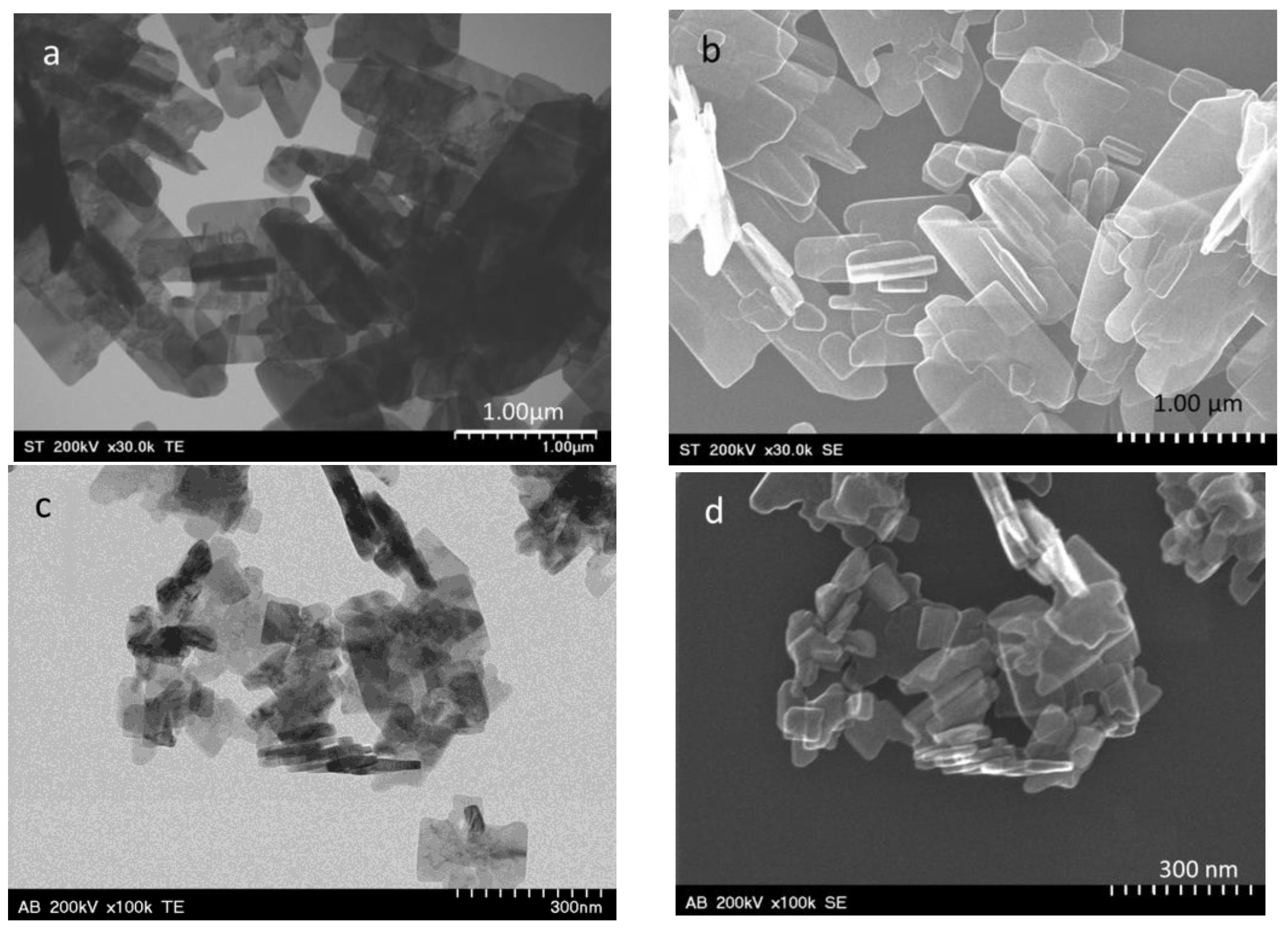 Coatings 13 01014 g002