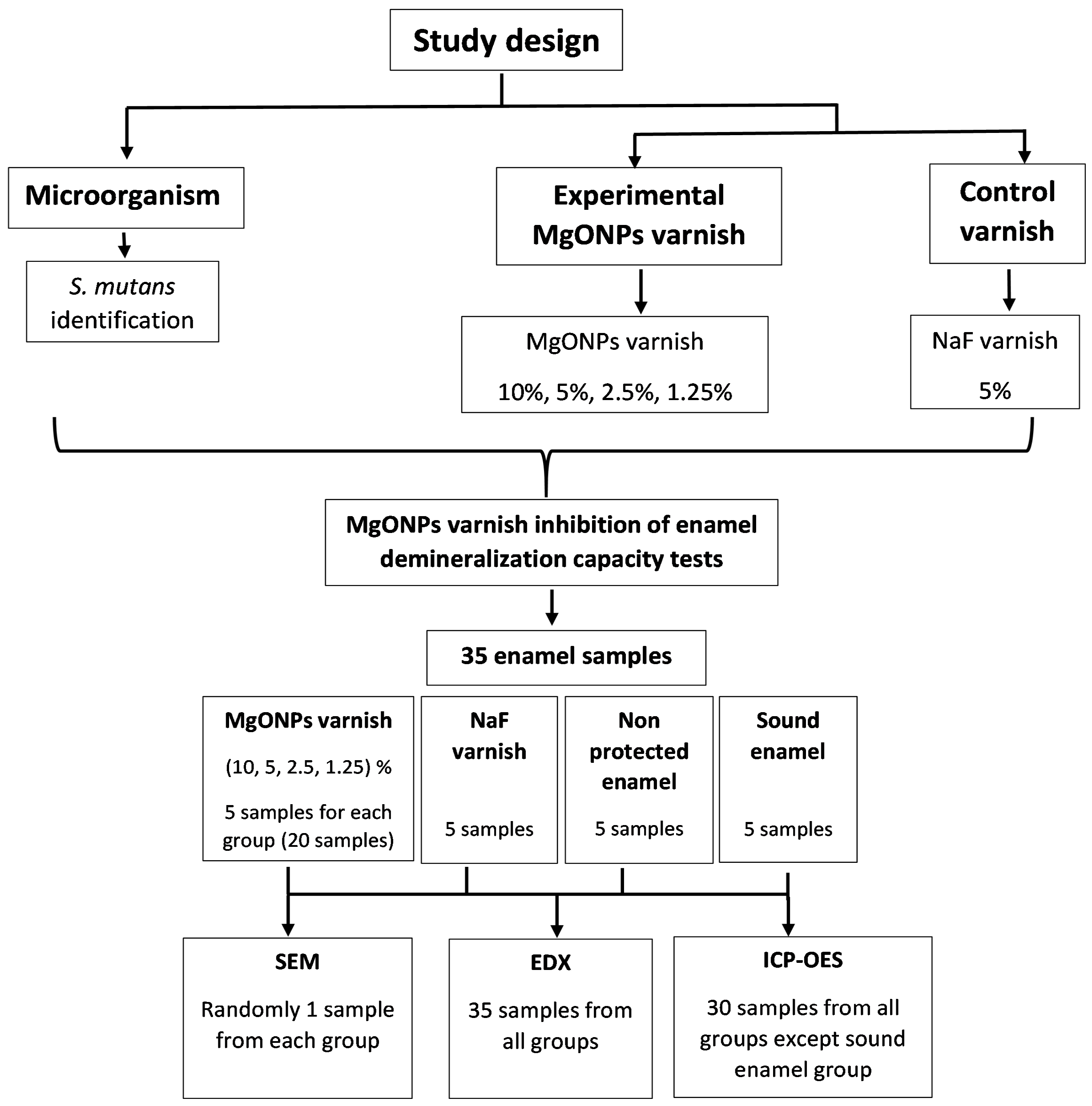 Coatings 13 01018 g001 Coatings 13 01018 g001